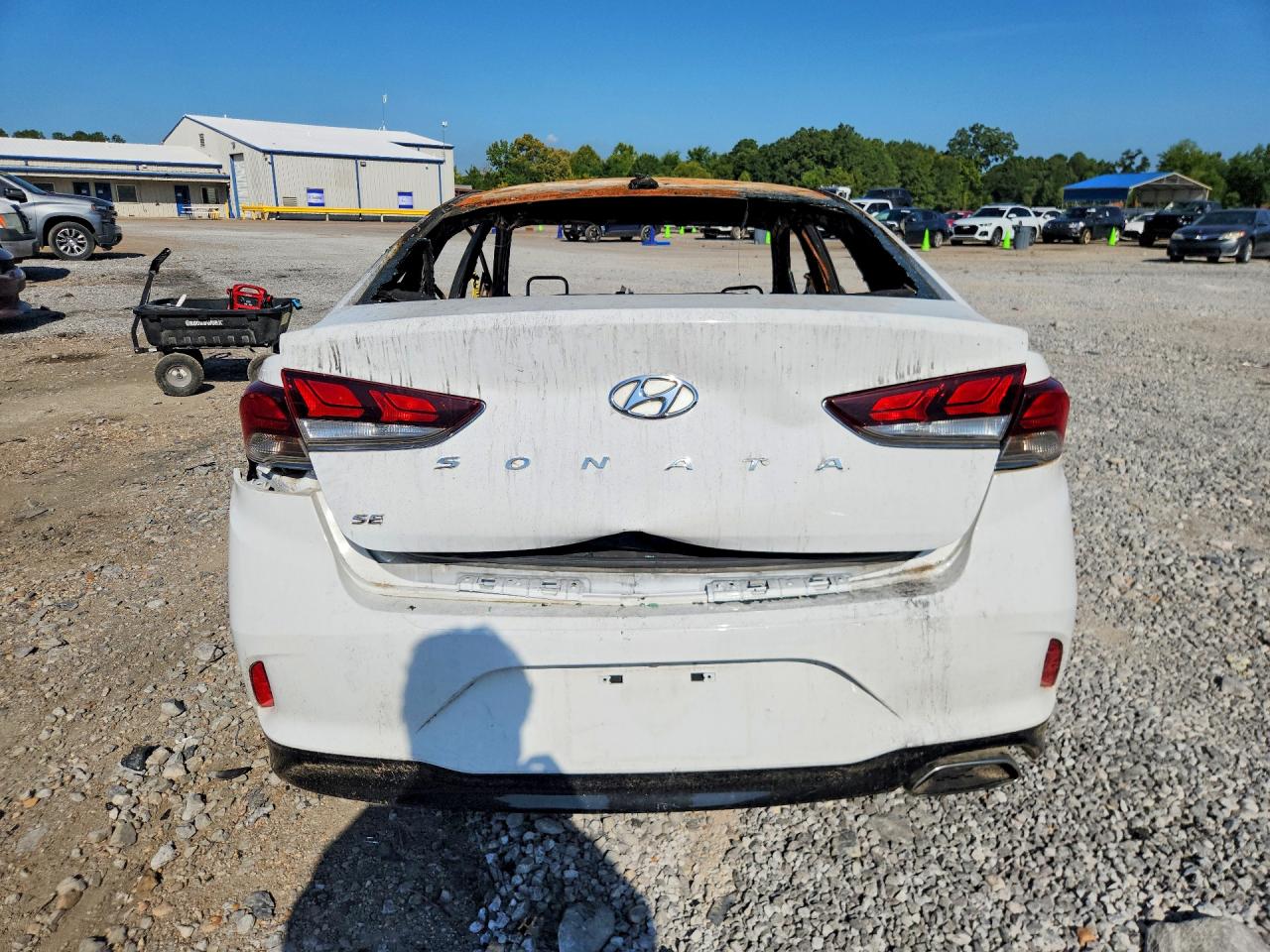 2019 Hyundai Sonata Se Burn vin: 5NPE24AF5KH762269