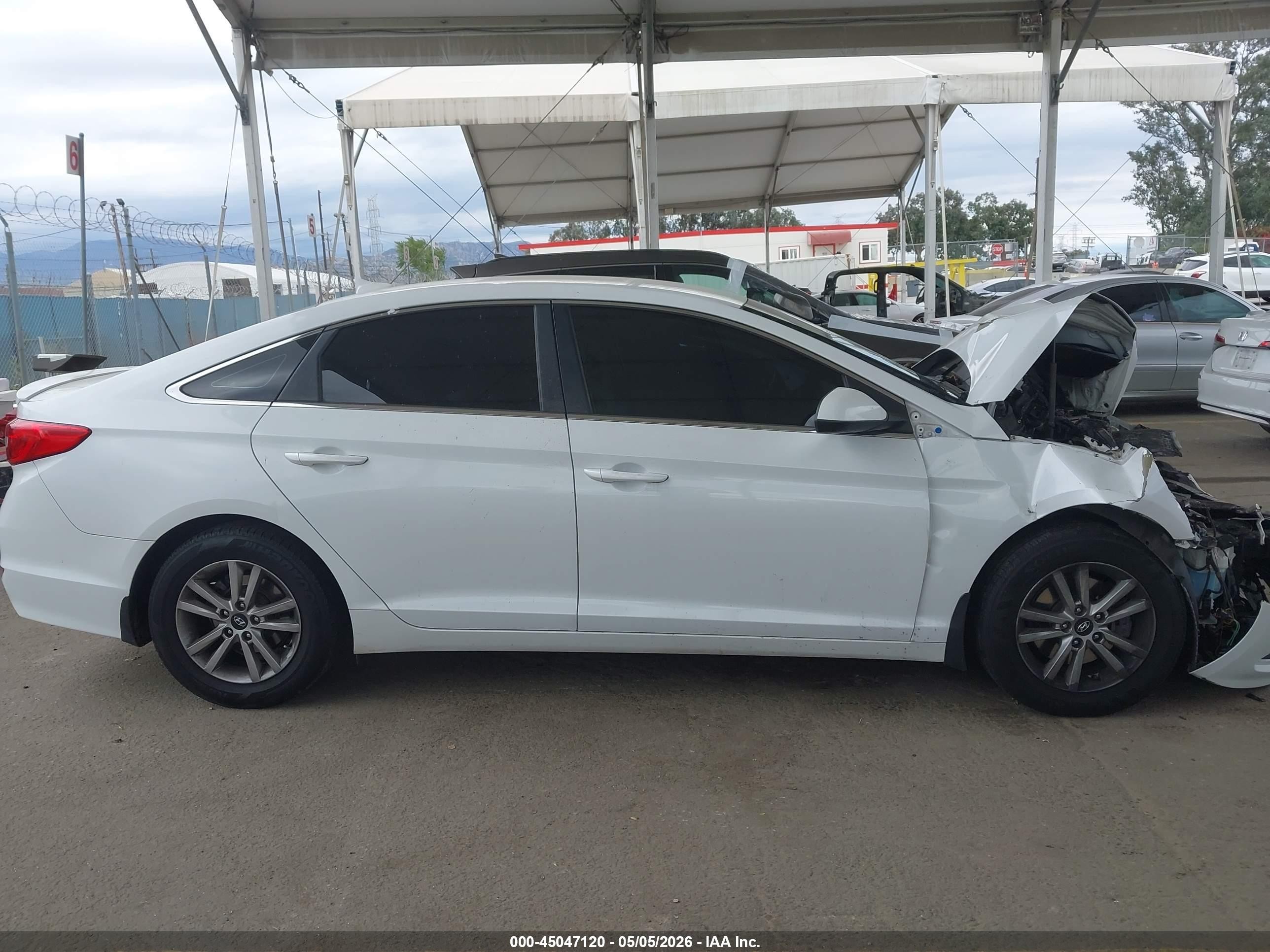 2015 Hyundai Sonata Se White vin: 5NPE24AF7FH190188