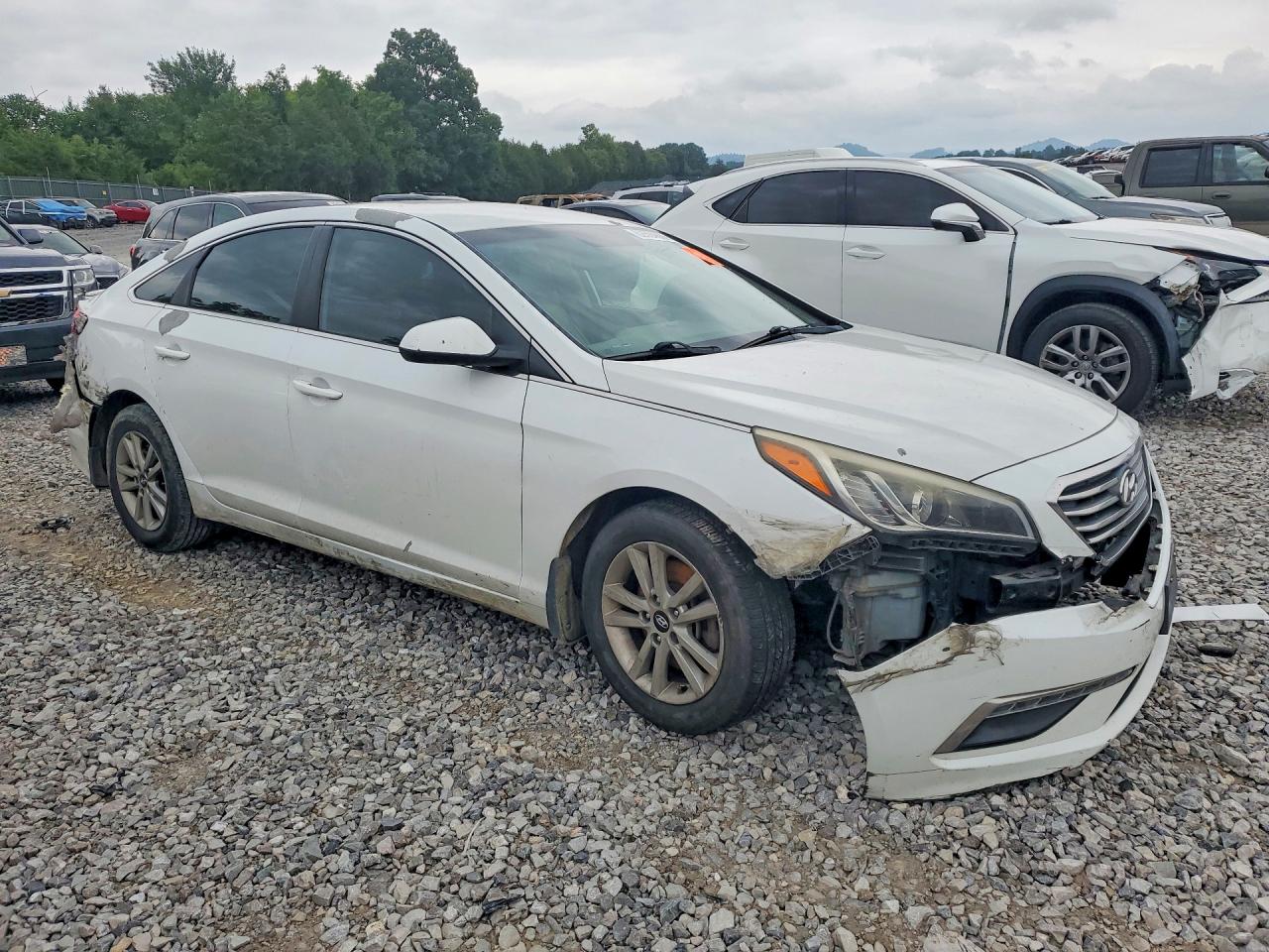 2015 Hyundai Sonata Se Белый vin: 5NPE24AF7FH206017