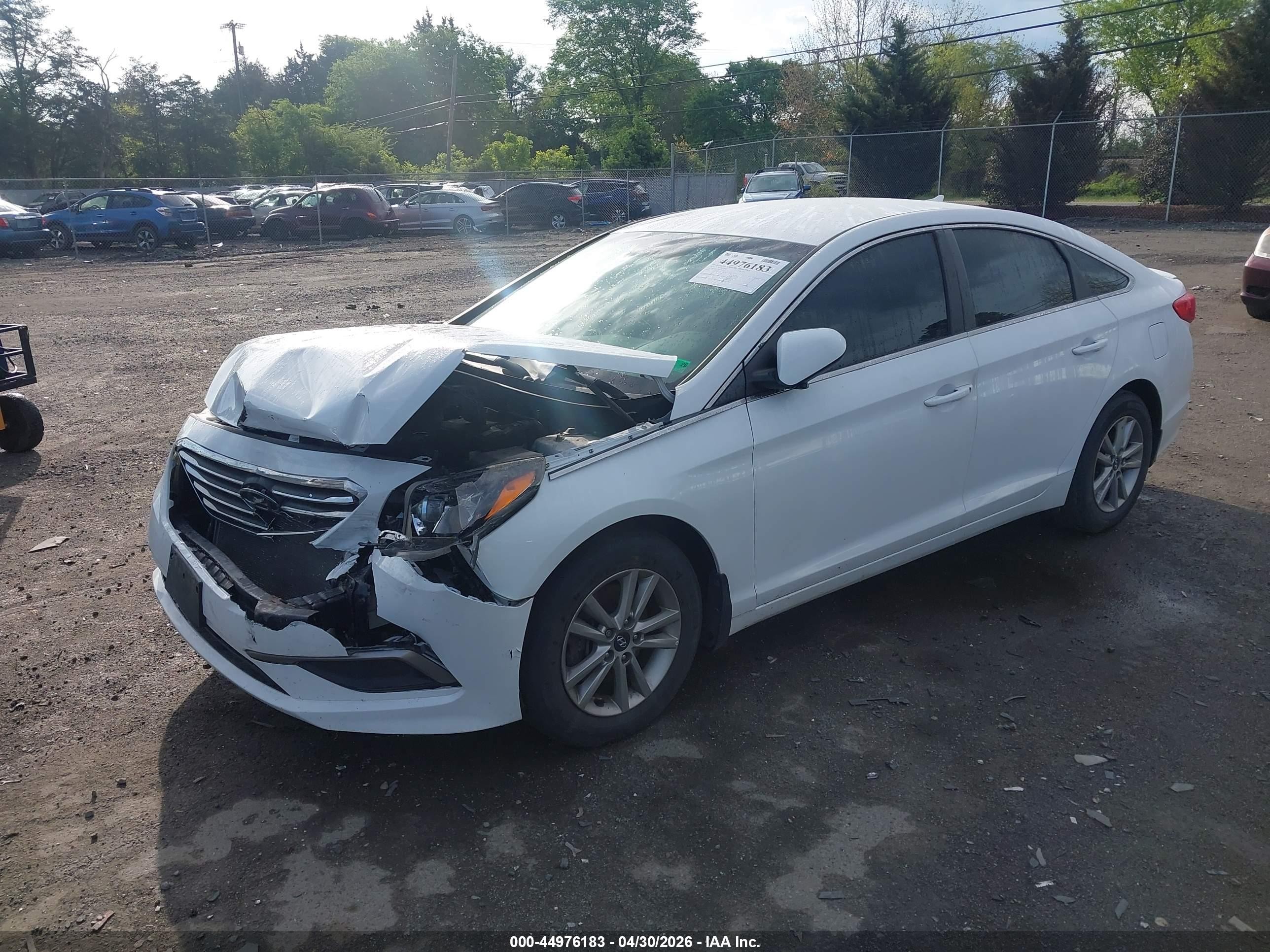 2016 Hyundai Sonata Se White vin: 5NPE24AF7GH301906