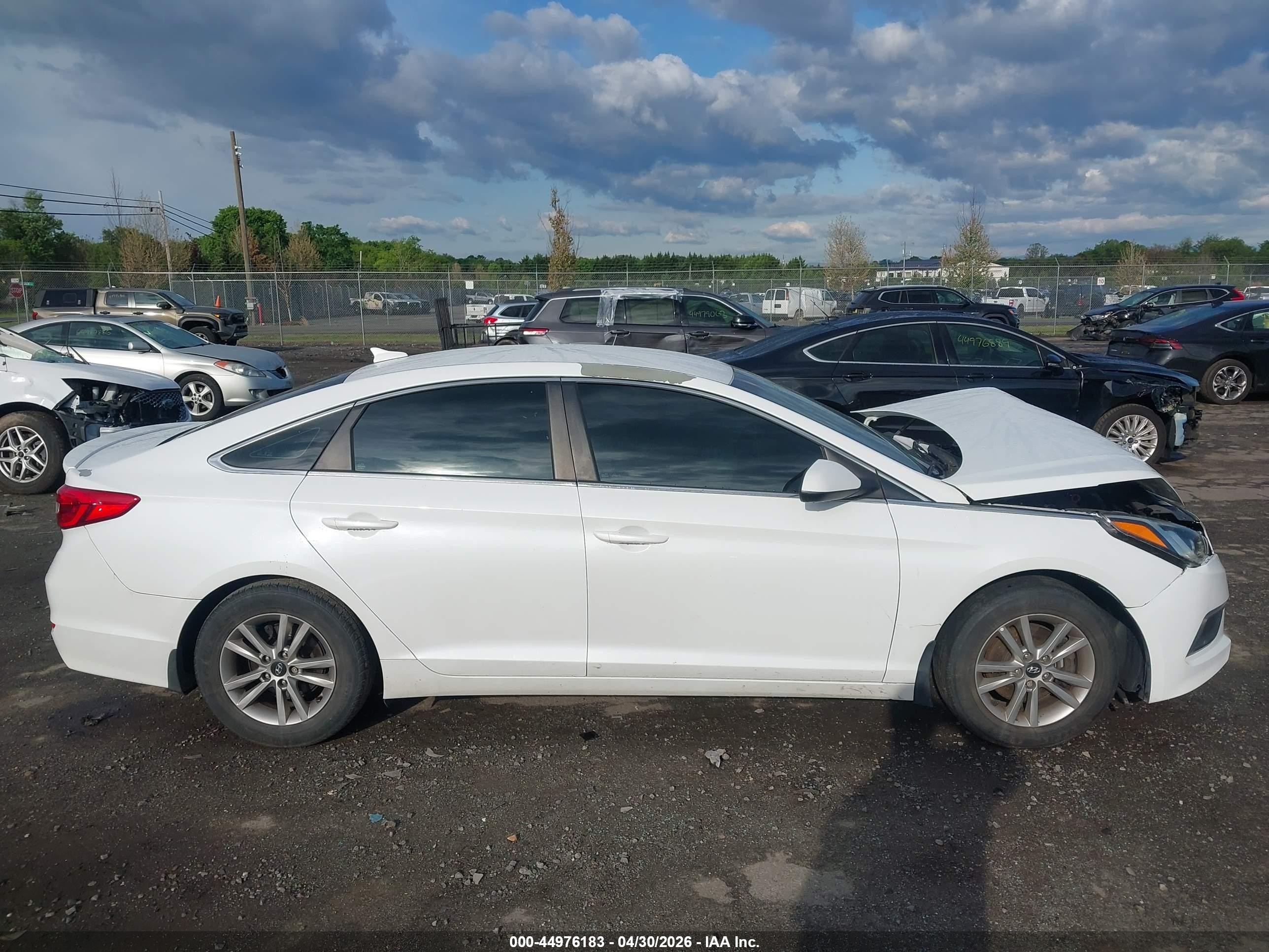 2016 Hyundai Sonata Se White vin: 5NPE24AF7GH301906