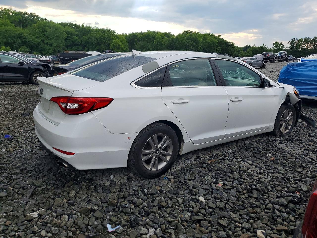2016 Hyundai Sonata Se White vin: 5NPE24AF7GH404016