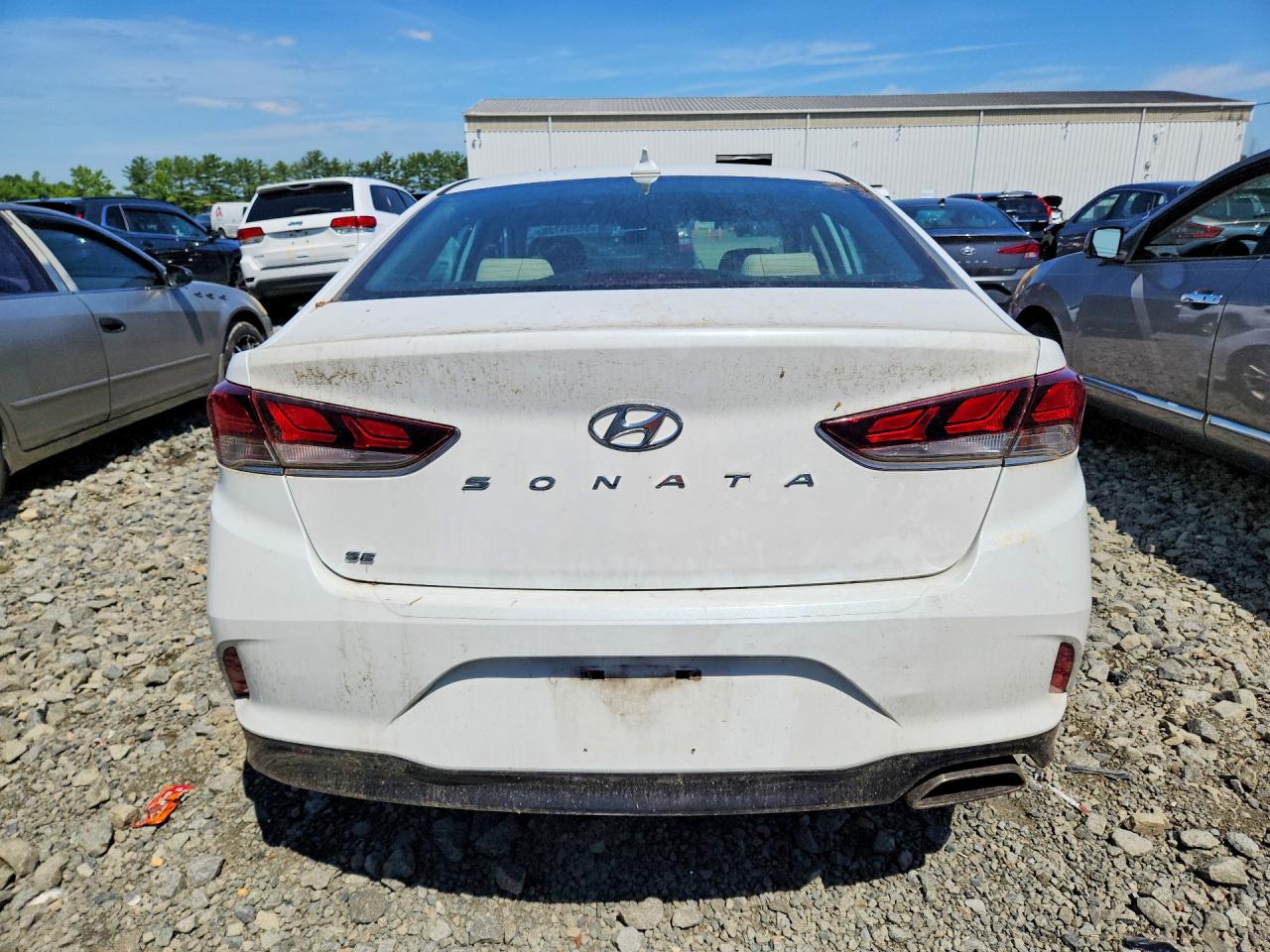 2019 Hyundai Sonata Se White vin: 5NPE24AF7KH754447