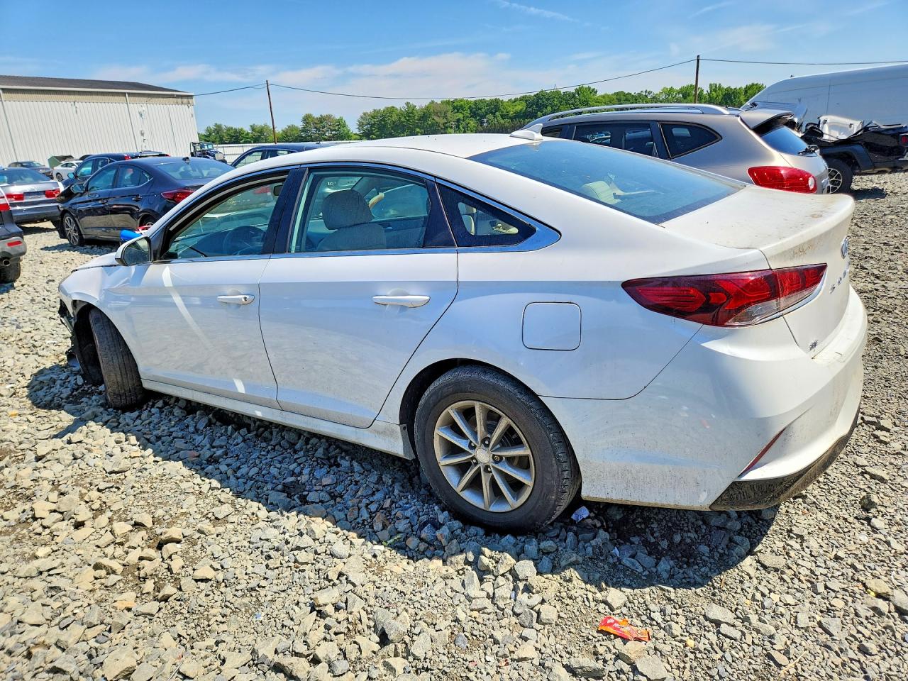 2019 Hyundai Sonata Se White vin: 5NPE24AF7KH754447
