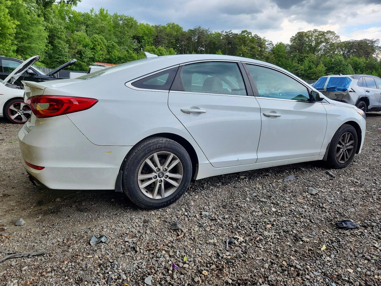 2015 Hyundai Sonata Se Белый vin: 5NPE24AF8FH159208