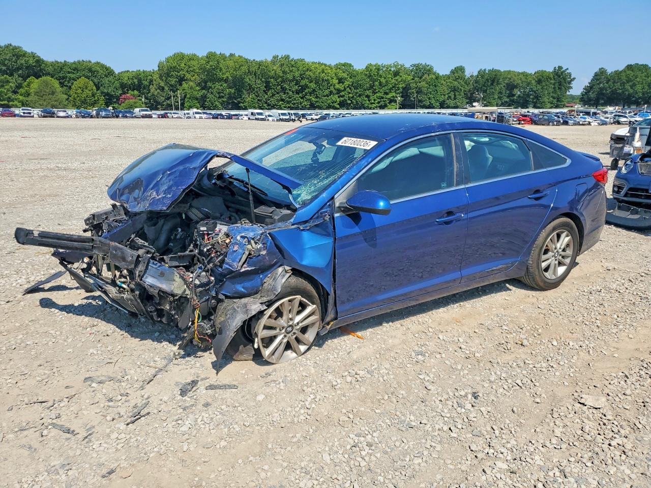 2015 Hyundai Sonata Se Blue vin: 5NPE24AF9FH237446