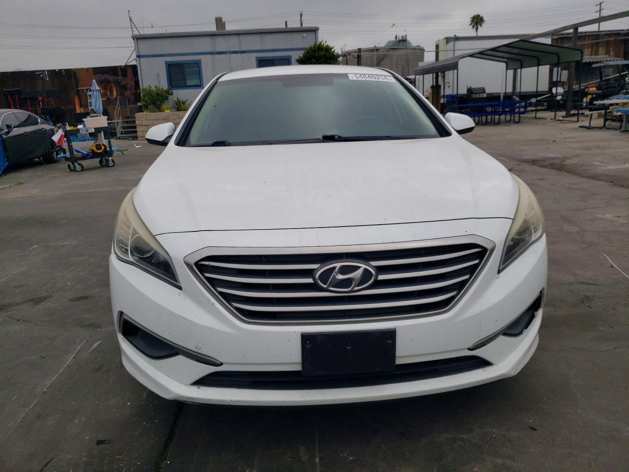 2016 Hyundai Sonata Se White vin: 5NPE24AF9GH280105