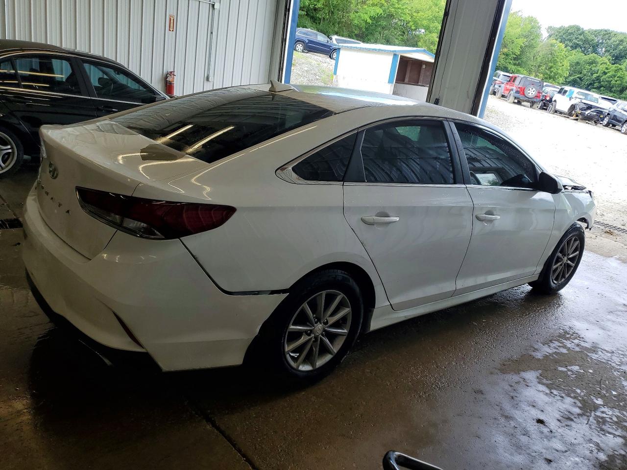 2019 Hyundai Sonata Se White vin: 5NPE24AF9KH786221