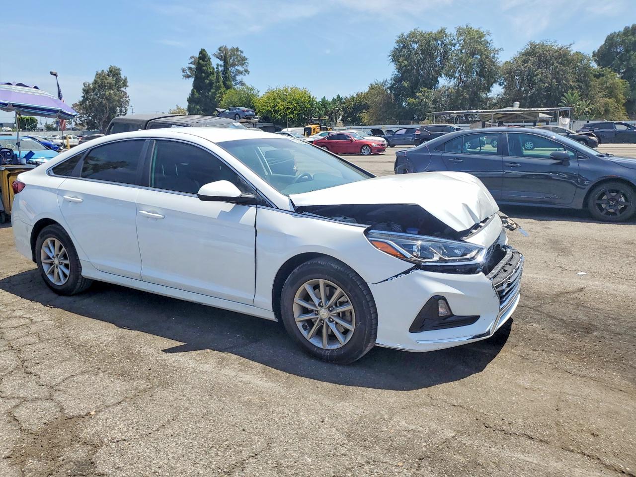 2019 Hyundai Sonata Se White vin: 5NPE24AFXKH778354
