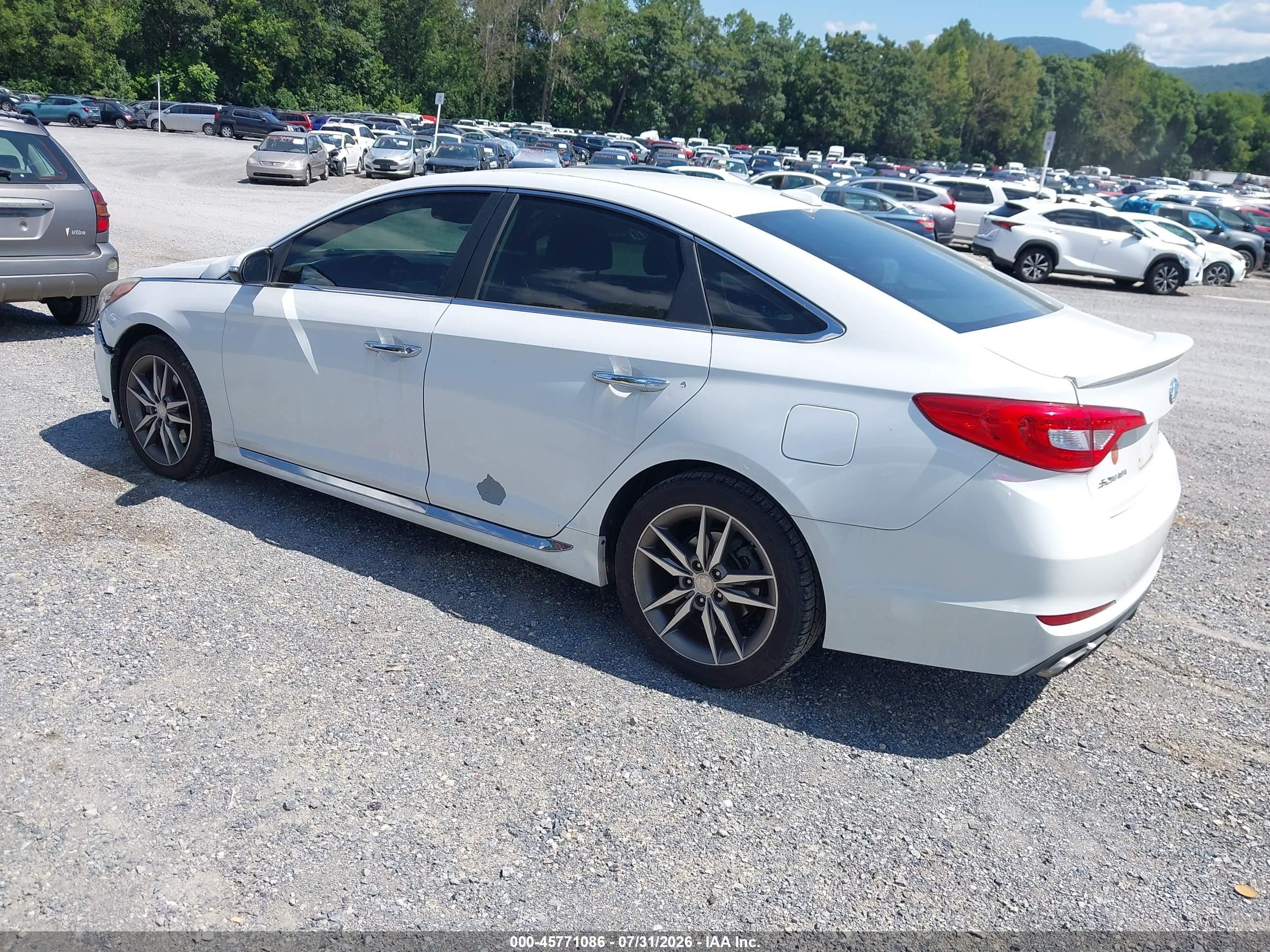 2015 Hyundai Sonata Sport 2.0t White vin: 5NPE34AB1FH090968