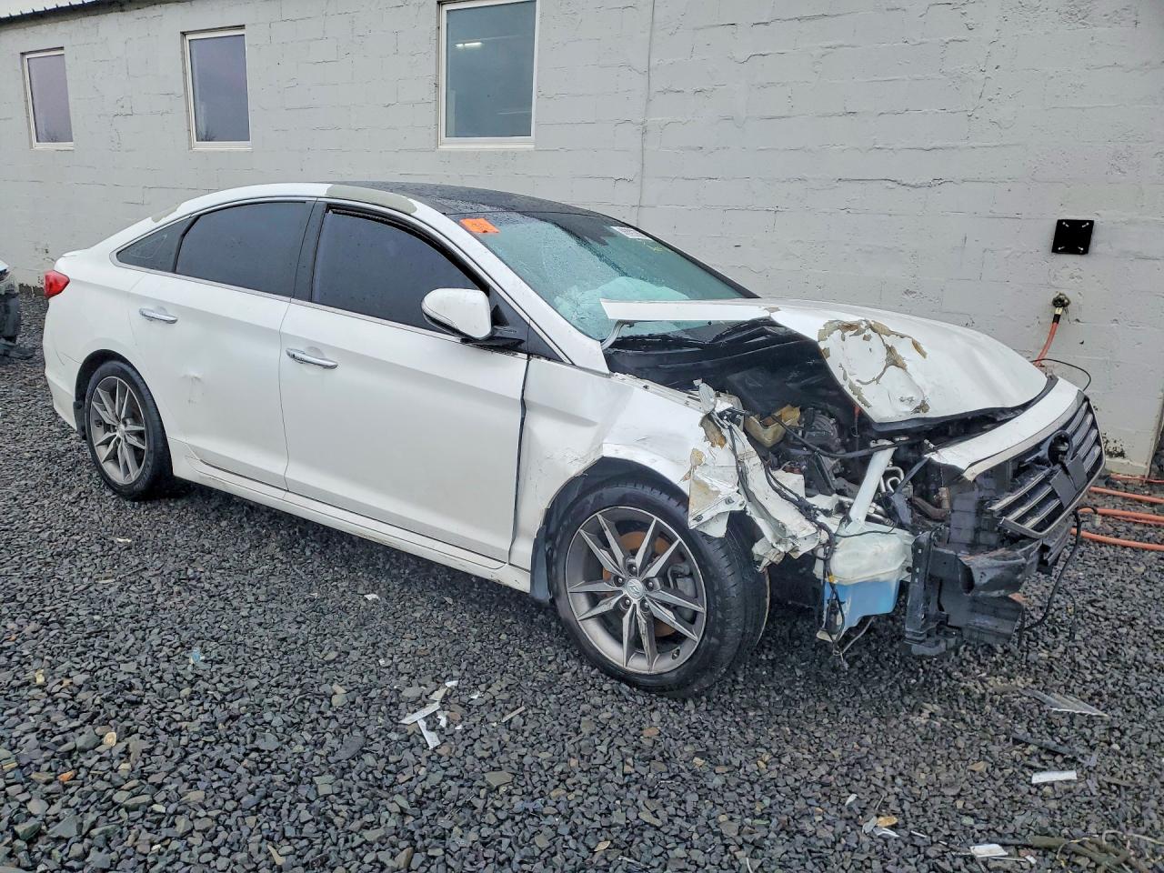 2015 Hyundai Sonata Sport 2.0t White vin: 5NPE34AB2FH038359