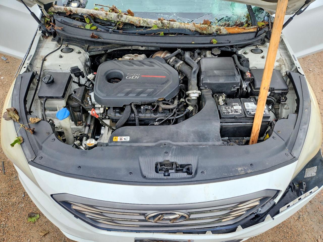 2015 Hyundai Sonata Sport 2.0t Белый vin: 5NPE34AB4FH110243