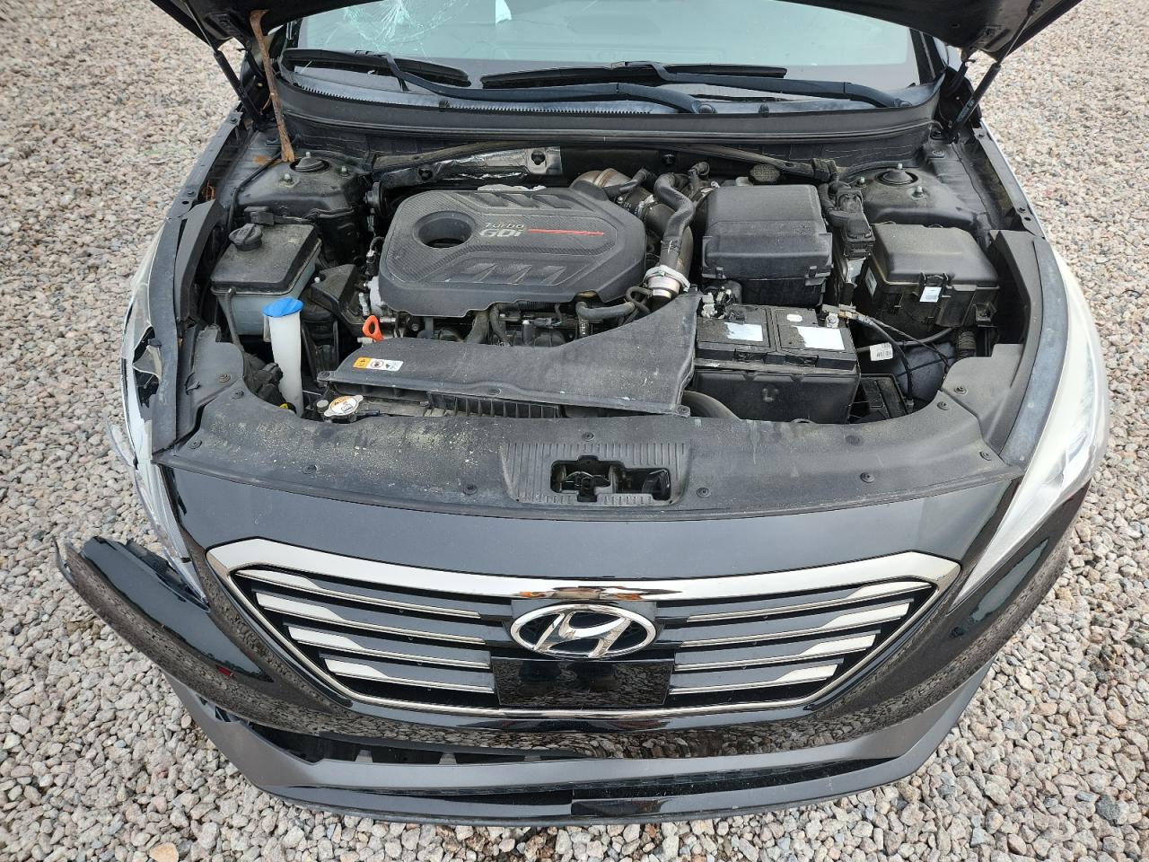 2015 Hyundai Sonata Sport 2.0t Black vin: 5NPE34AB6FH046271