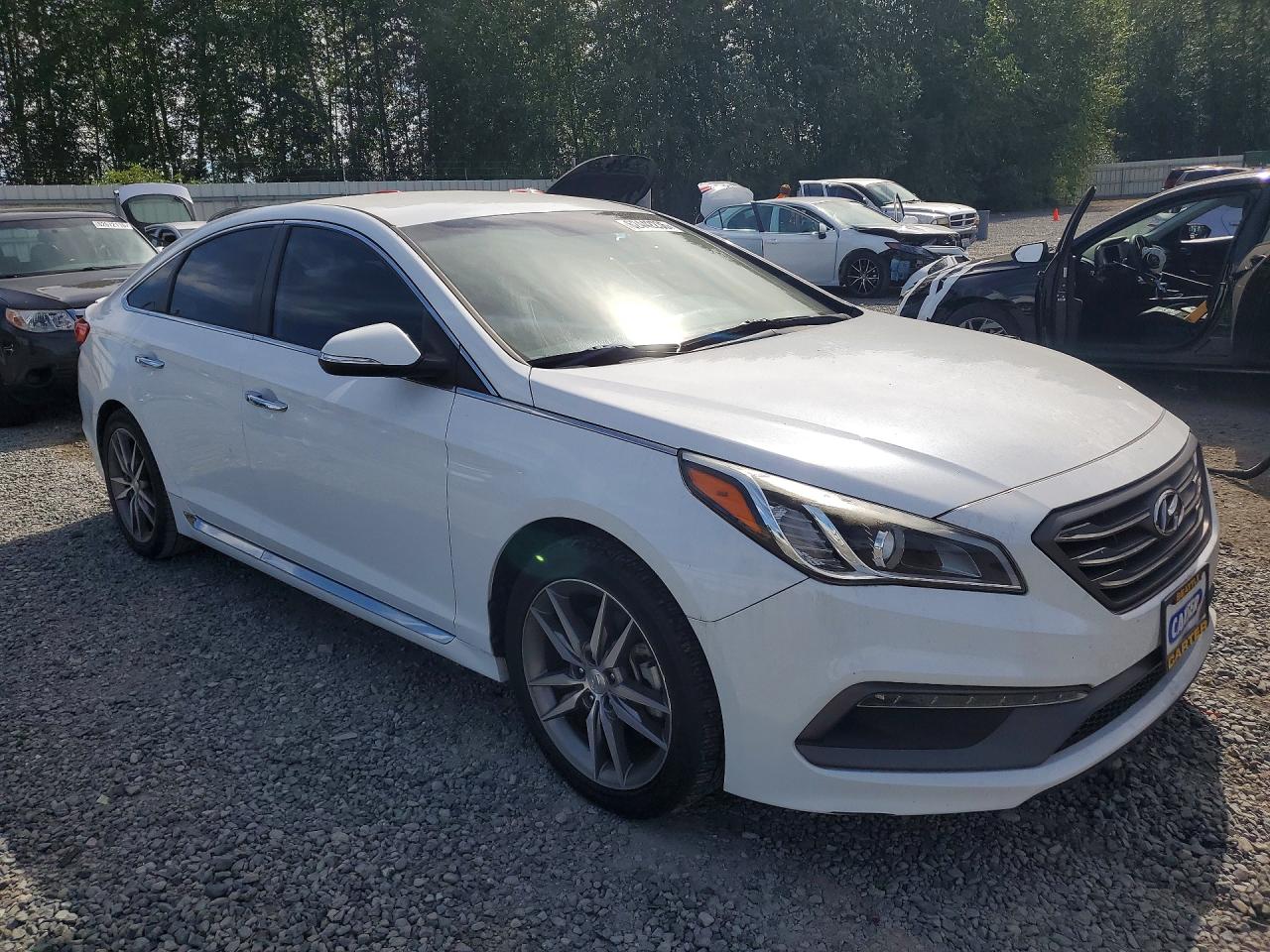 2015 Hyundai Sonata Sport 2.0t White vin: 5NPE34AB6FH110096