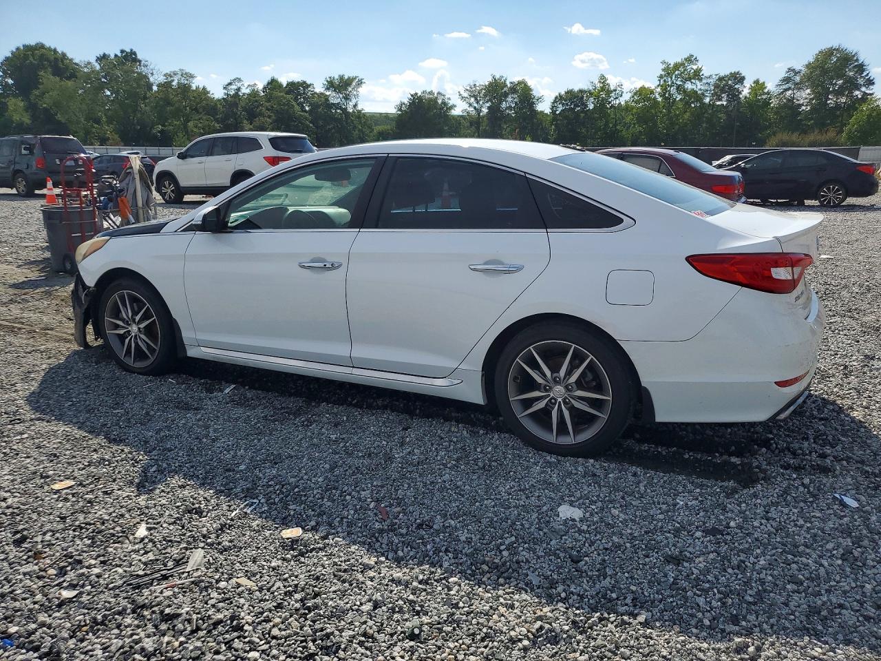 2015 Hyundai Sonata Sport 2.0t Белый vin: 5NPE34AB8FH196334