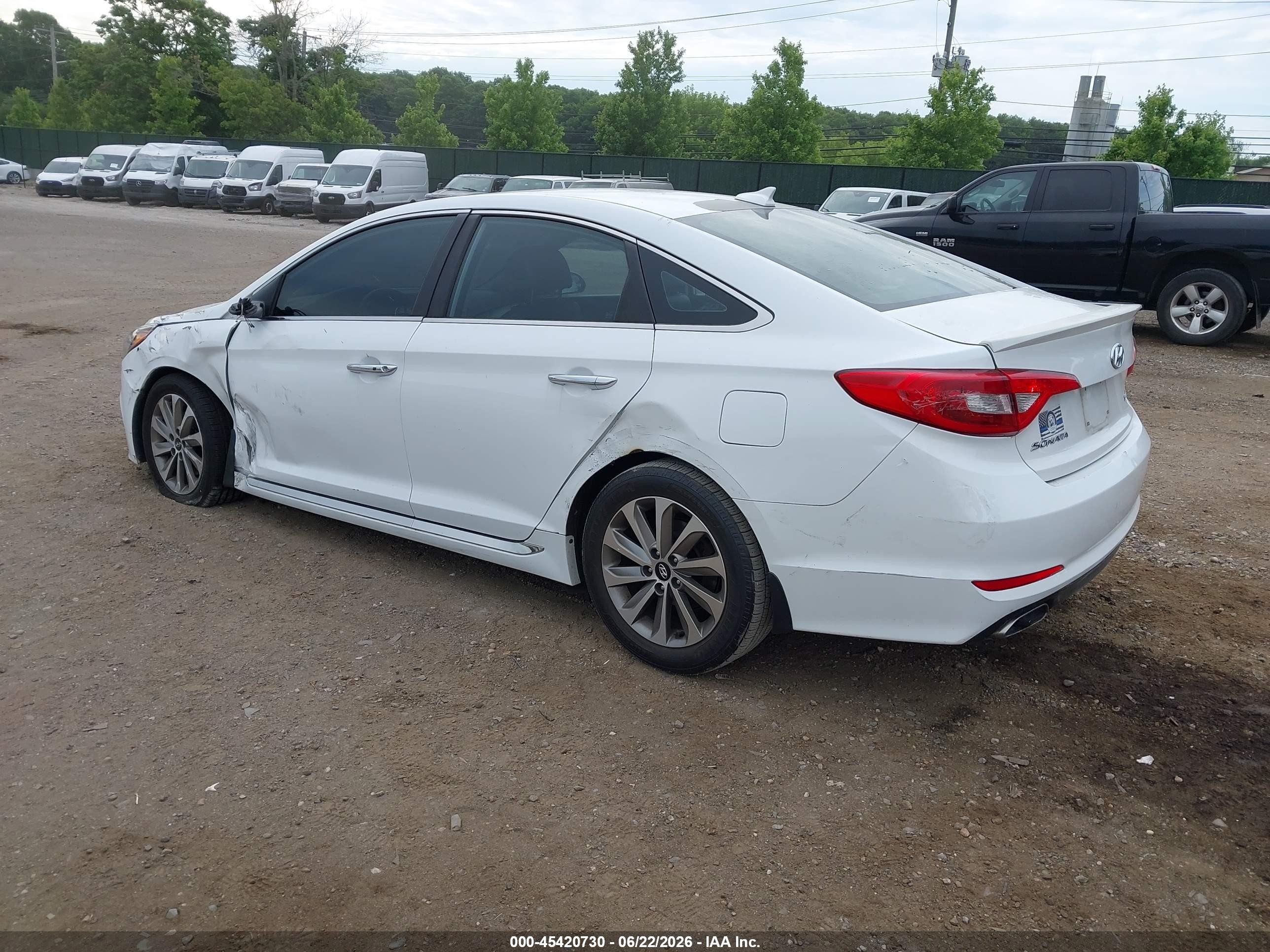 2015 Hyundai Sonata Sport Белый vin: 5NPE34AF0FH169003