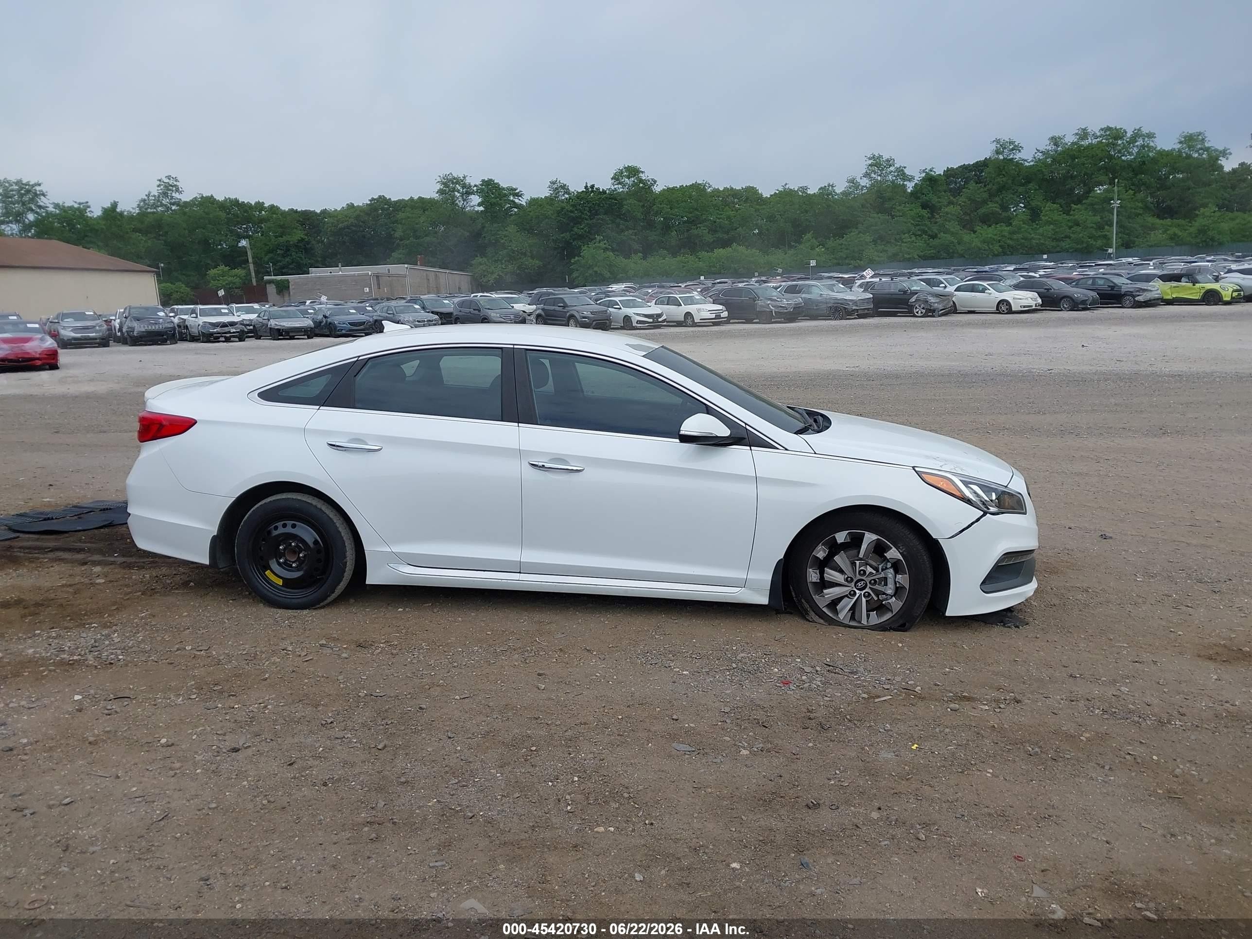 2015 Hyundai Sonata Sport Белый vin: 5NPE34AF0FH169003