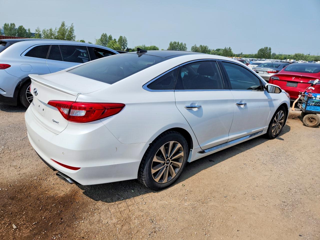 2015 Hyundai Sonata Sport White vin: 5NPE34AF0FH214196