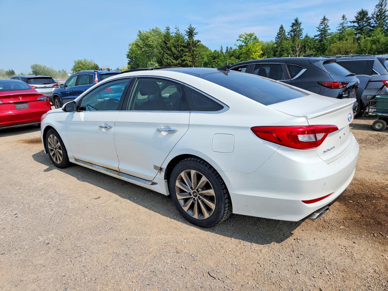 2015 Hyundai Sonata Sport White vin: 5NPE34AF0FH214196