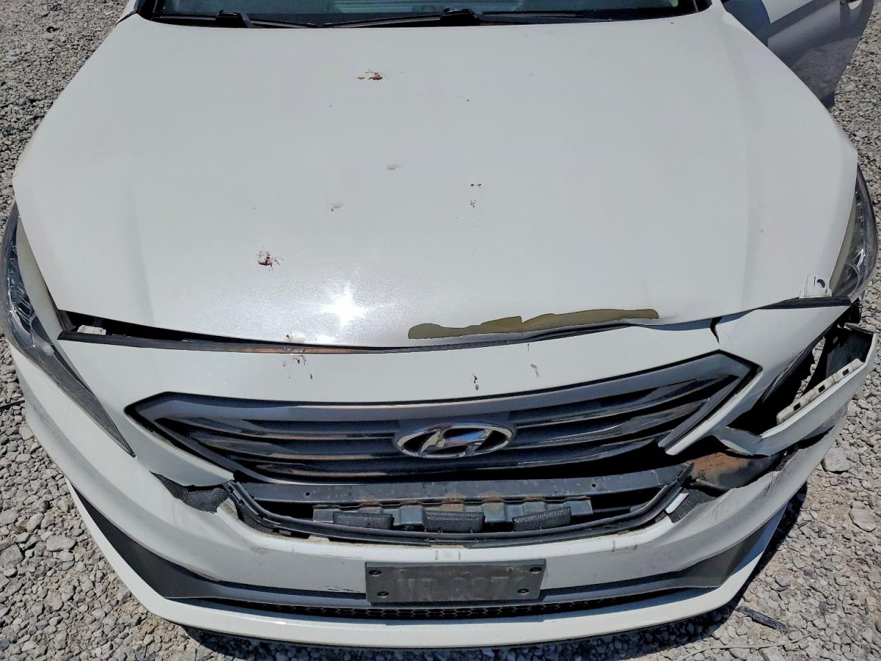 2016 Hyundai Sonata White vin: 5NPE34AF0GH418790