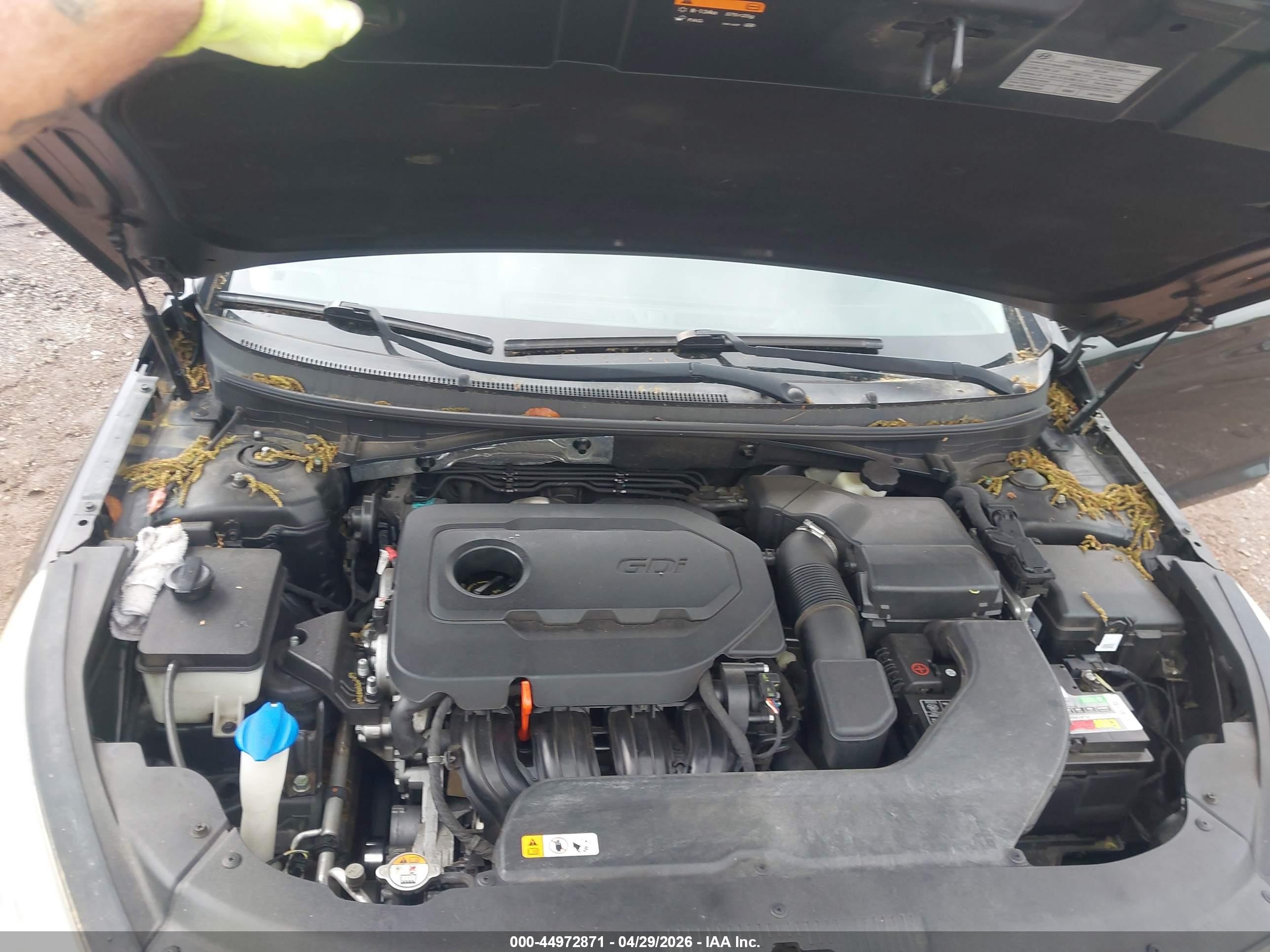 2015 Hyundai Sonata Sport Black vin: 5NPE34AF1FH066222