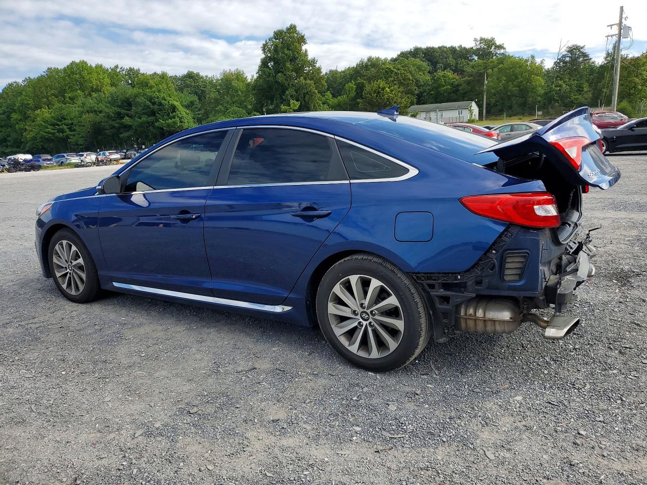 2015 Hyundai Sonata Sport Blue vin: 5NPE34AF1FH093582