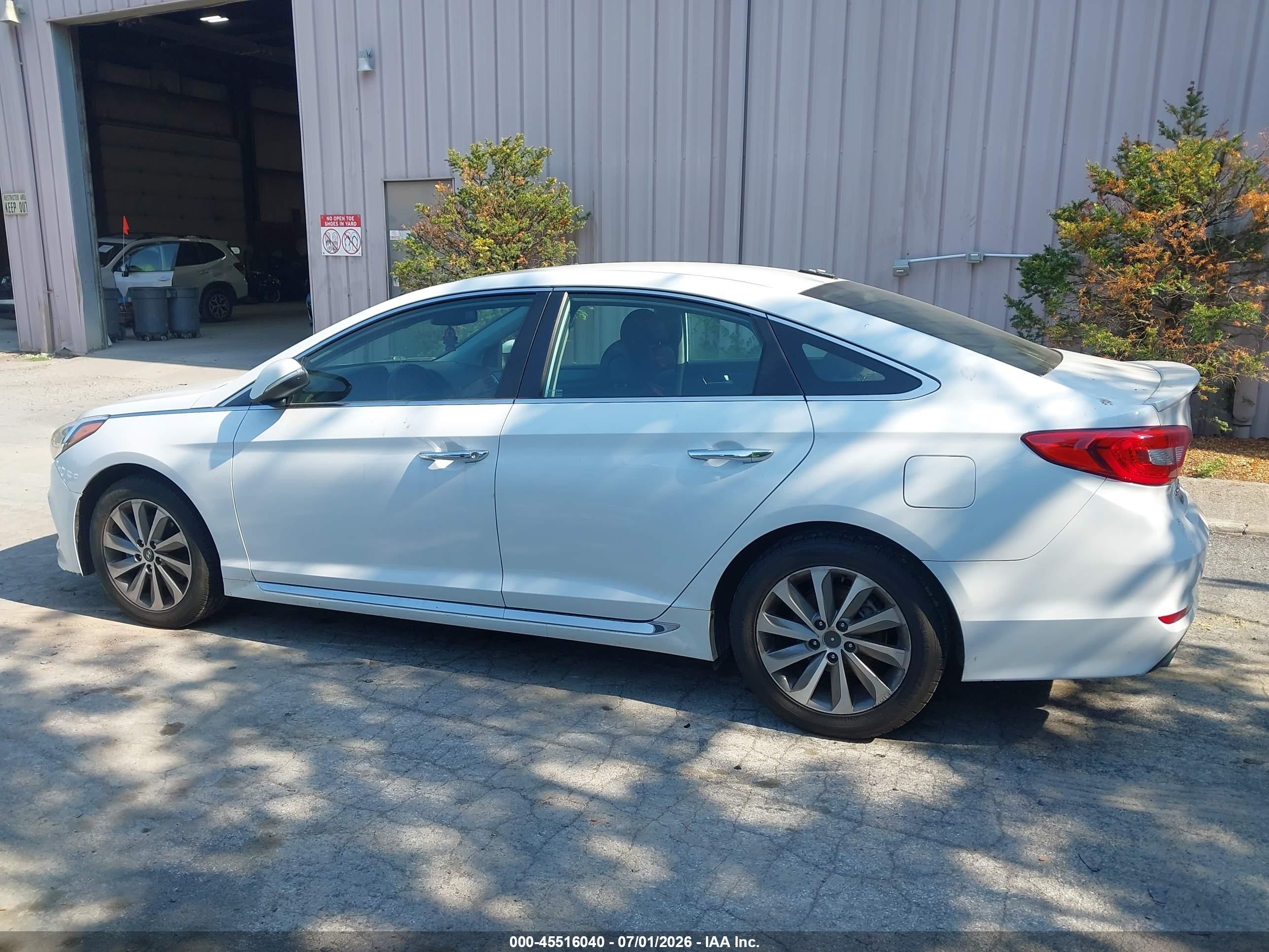 2015 Hyundai Sonata Sport White vin: 5NPE34AF1FH146443