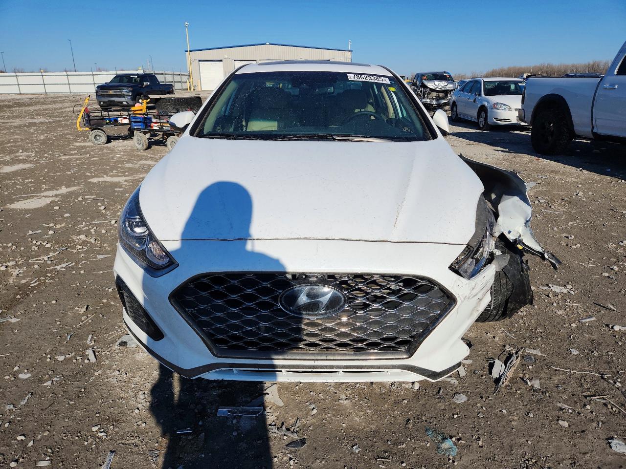 2019 Hyundai Sonata Limited White vin: 5NPE34AF1KH809956
