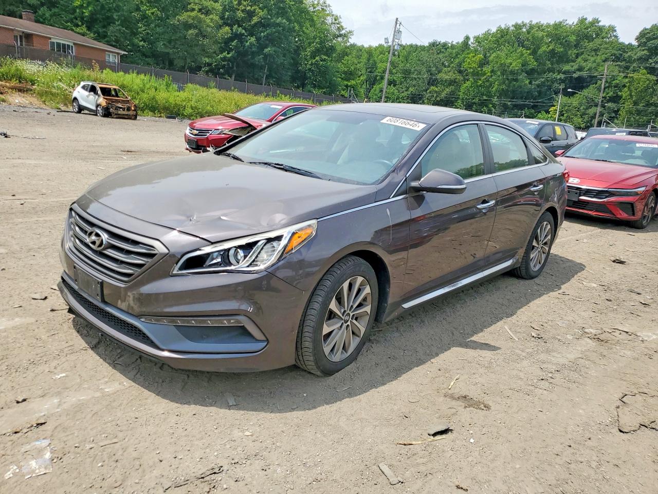 2016 Hyundai Sonata Sport Brown vin: 5NPE34AF2GH423375