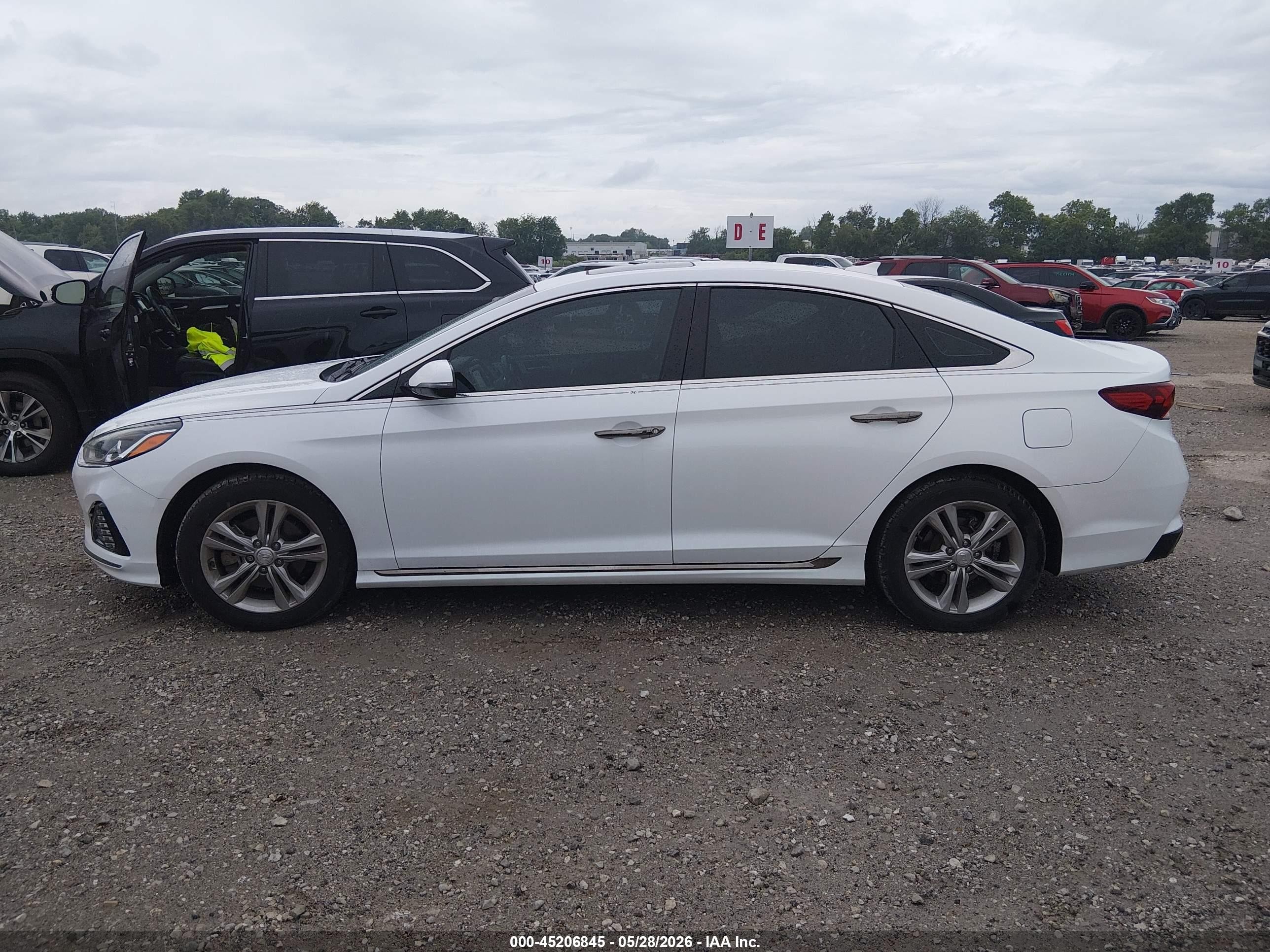 2018 Hyundai Sonata Sport+ White vin: 5NPE34AF3JH728391