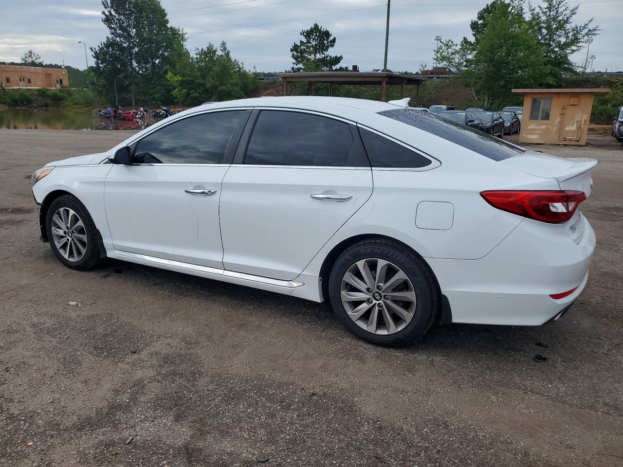 2015 Hyundai Sonata Sport White vin: 5NPE34AF4FH237500