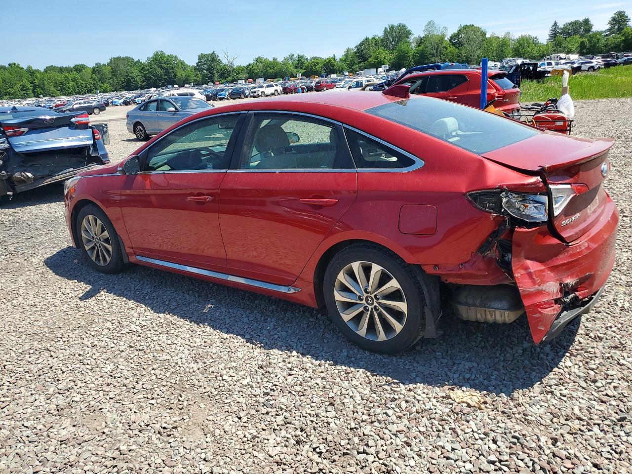 2017 Hyundai Sonata Sport Red vin: 5NPE34AF5HH543950