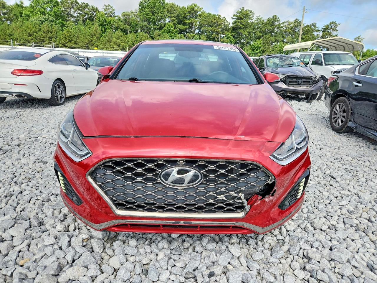 2019 Hyundai Sonata Sport Red vin: 5NPE34AF5KH751205