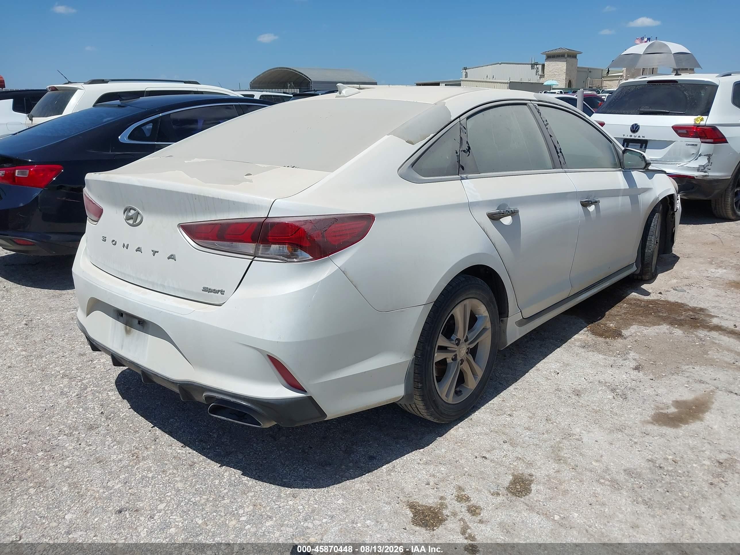 2019 Hyundai Sonata Sport White vin: 5NPE34AF5KH772782