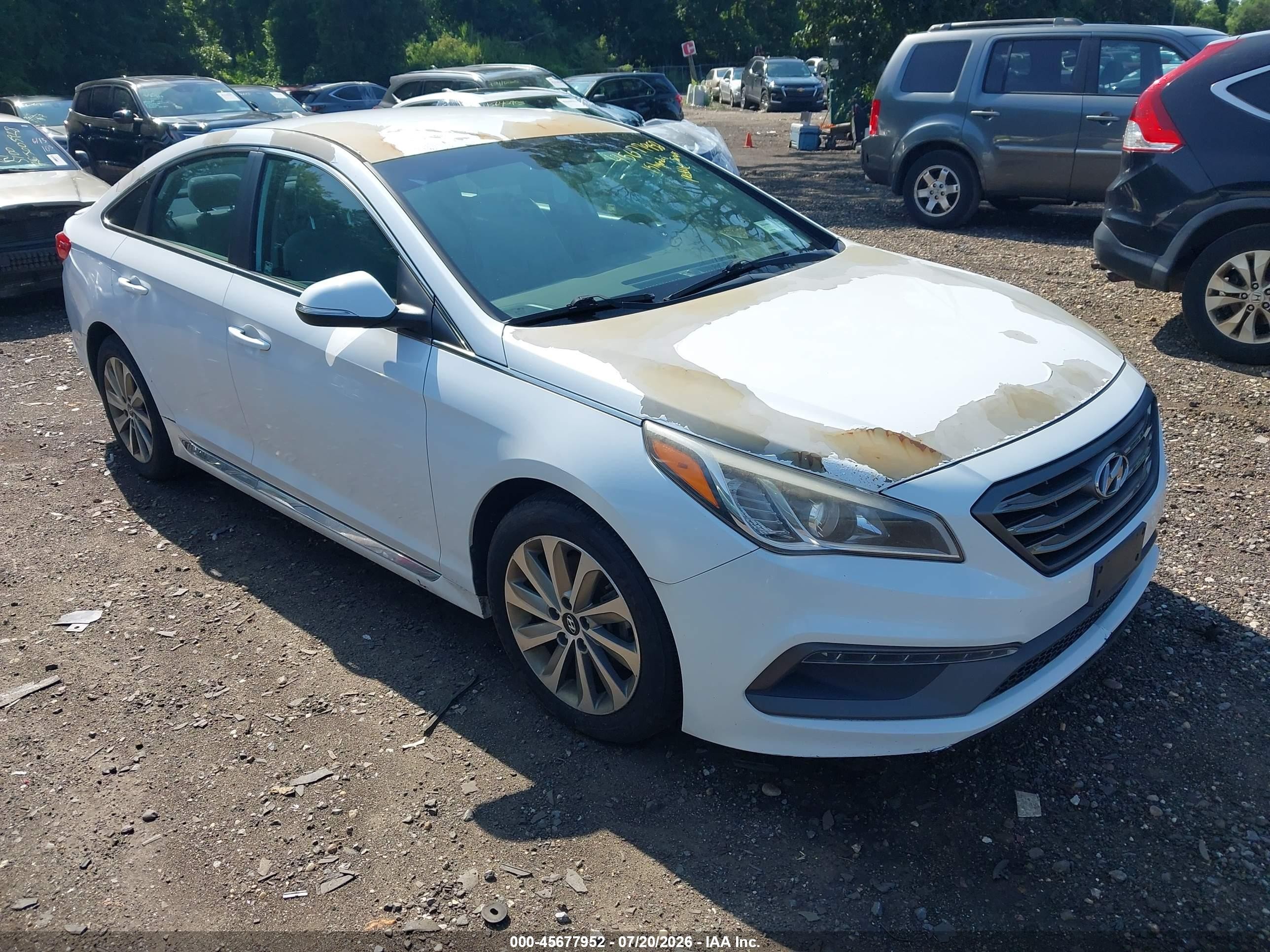2015 Hyundai Sonata Sport White vin: 5NPE34AF6FH075336