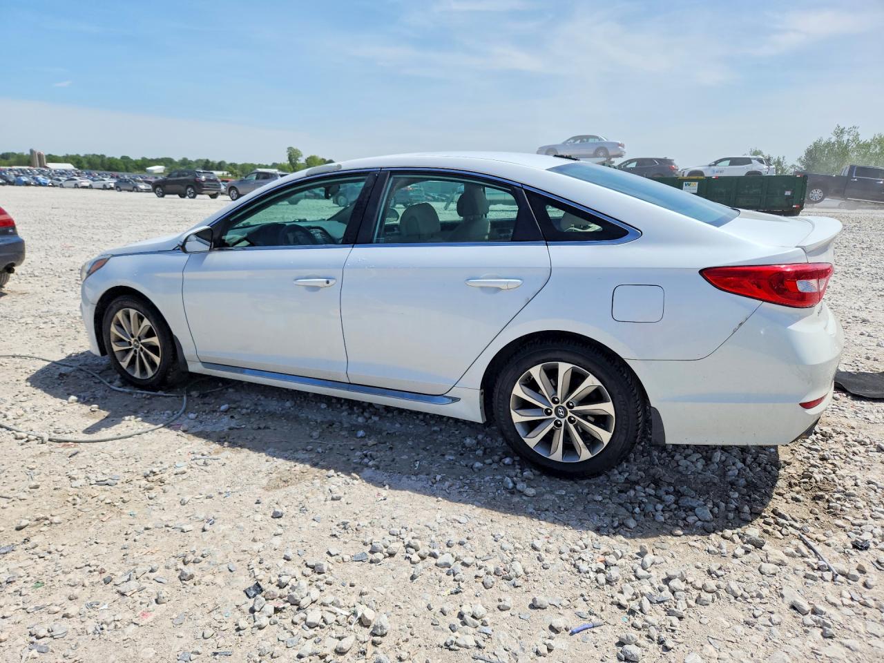 2015 Hyundai Sonata Sport White vin: 5NPE34AF6FH128763
