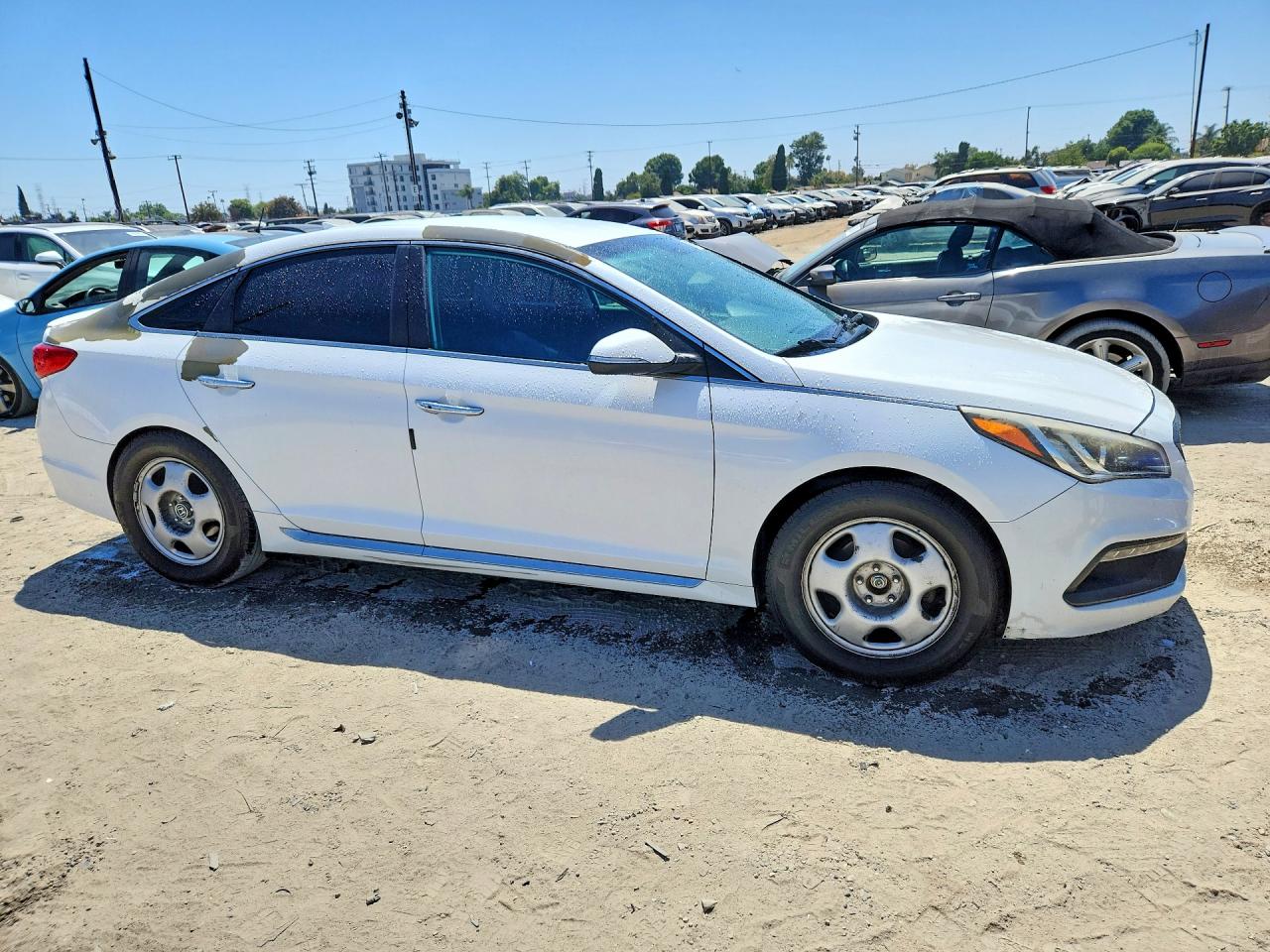 2015 Hyundai Sonata Sport White vin: 5NPE34AF6FH131288