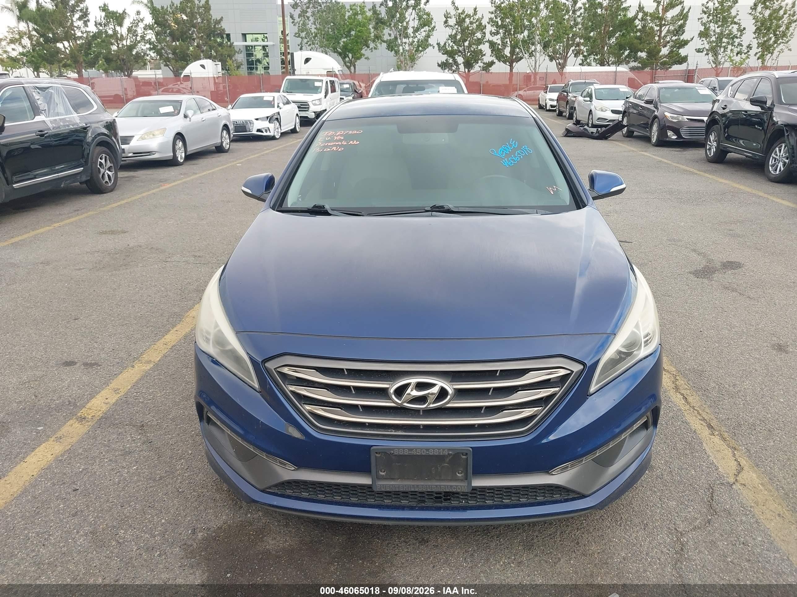 2015 Hyundai Sonata Sport Blue vin: 5NPE34AF6FH253973