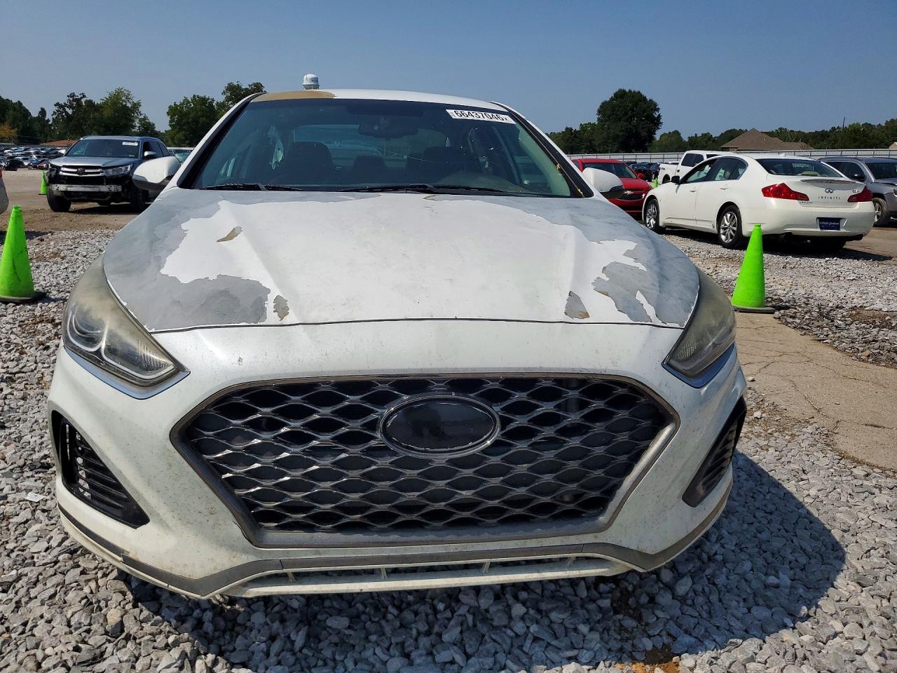 2019 Hyundai Sonata Sel White vin: 5NPE34AF6KH742173