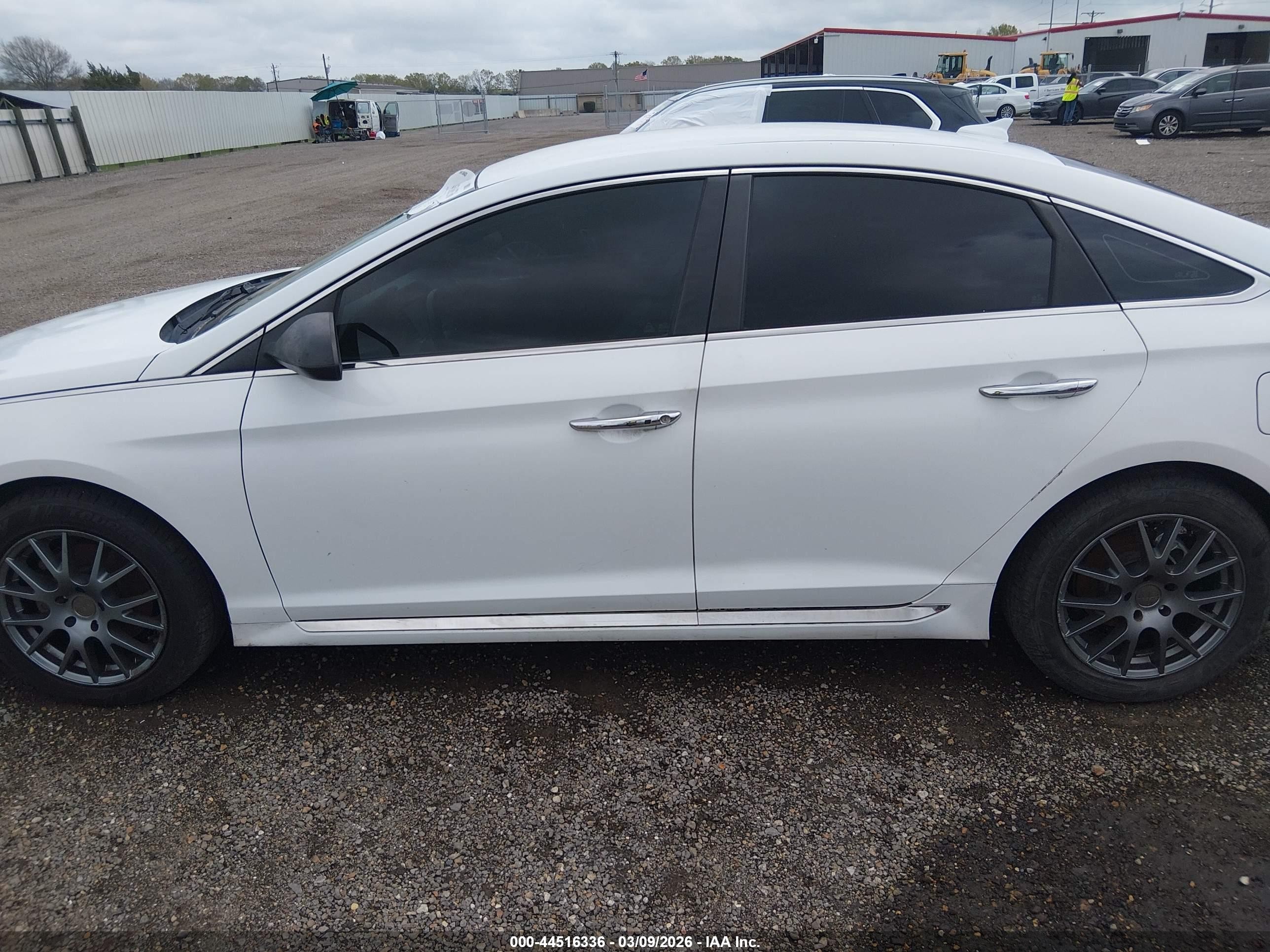 2015 Hyundai Sonata Sport White vin: 5NPE34AF7FH071067