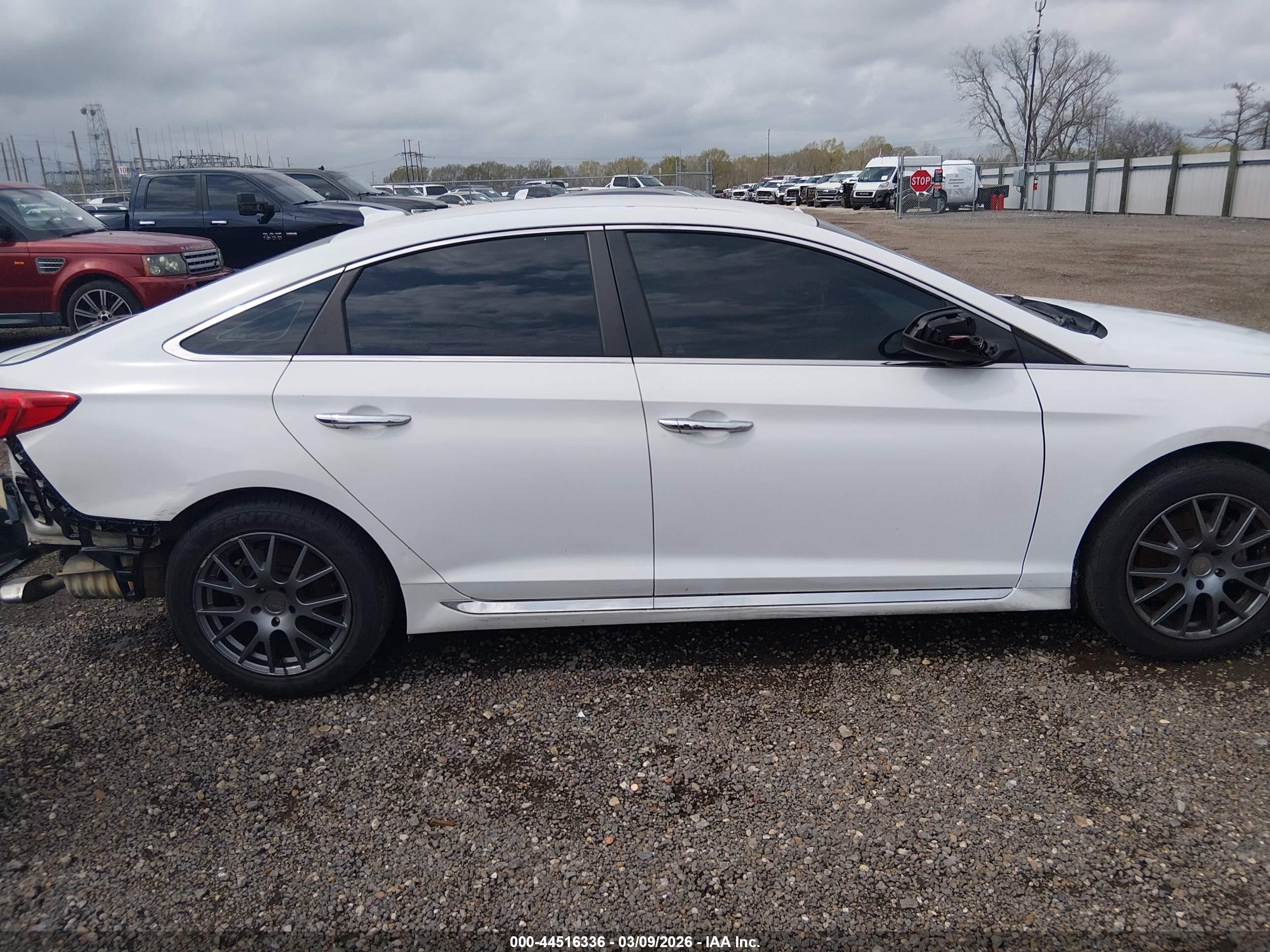 2015 Hyundai Sonata Sport White vin: 5NPE34AF7FH071067