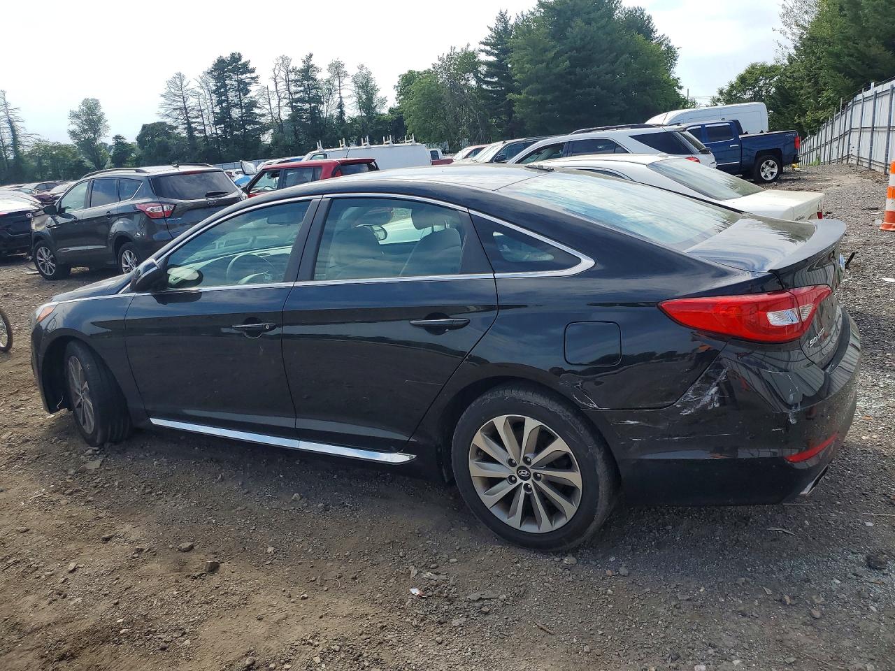 2015 Hyundai Sonata Sport Black vin: 5NPE34AF7FH111079