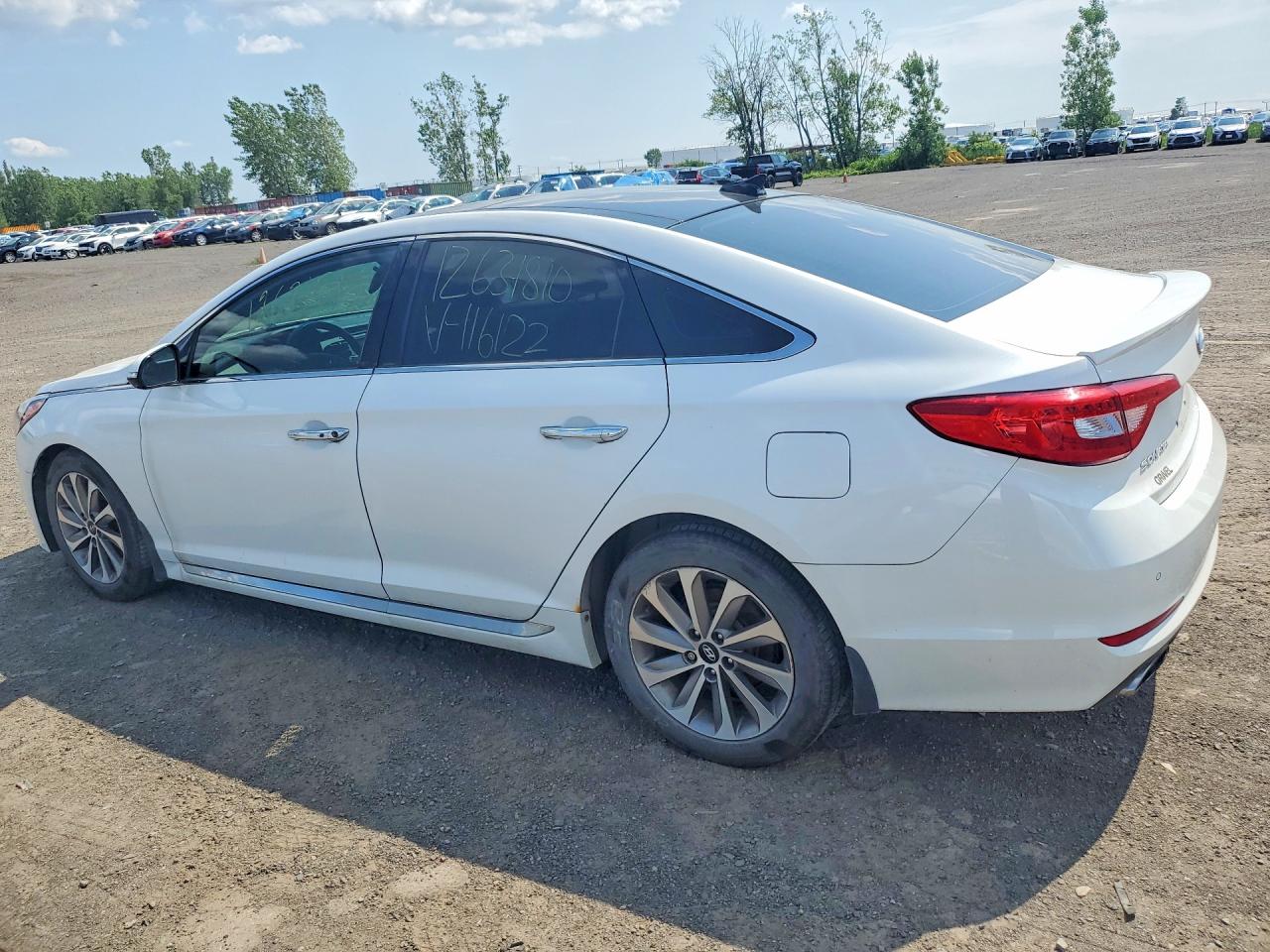 2015 Hyundai Sonata Sport Белый vin: 5NPE34AF7FH116122