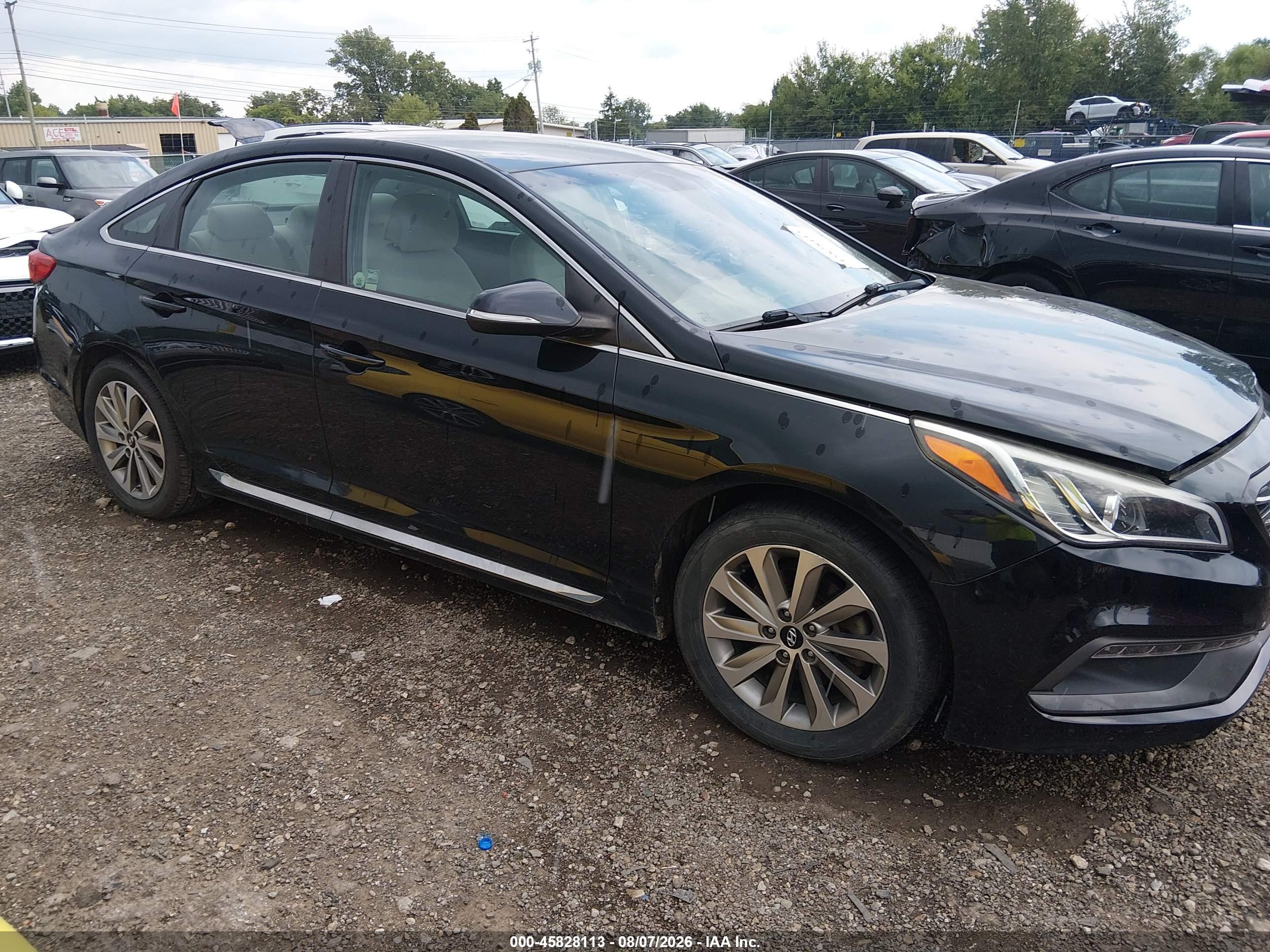 2015 Hyundai Sonata Sport Black vin: 5NPE34AF7FH246210