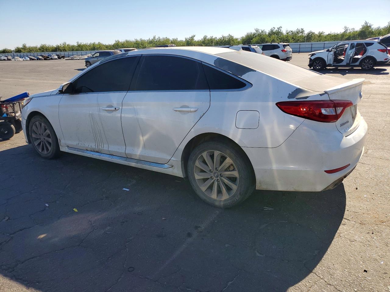 2015 Hyundai Sonata Sport White vin: 5NPE34AF8FH033069