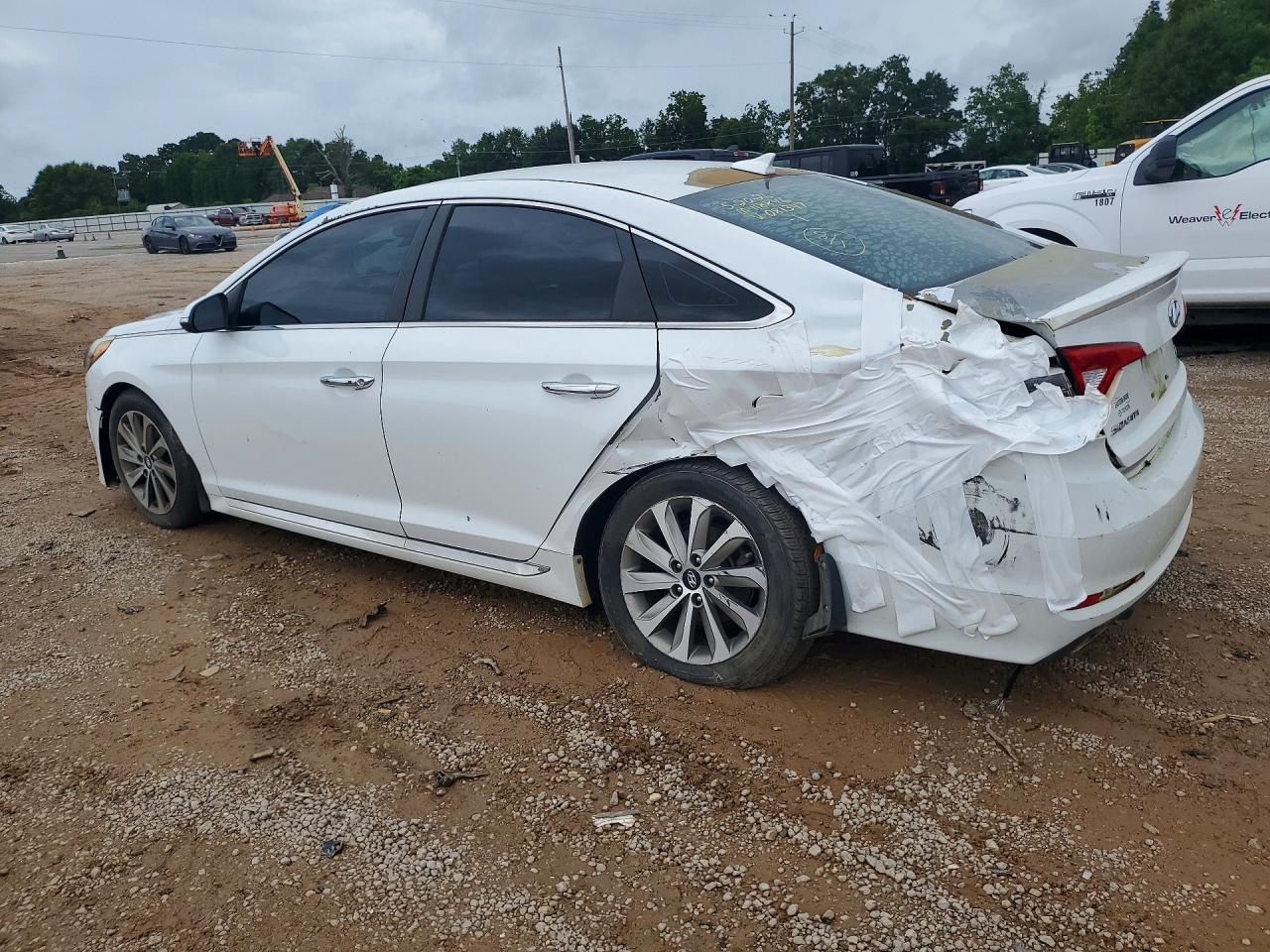 2015 Hyundai Sonata Sport Белый vin: 5NPE34AF8FH081347