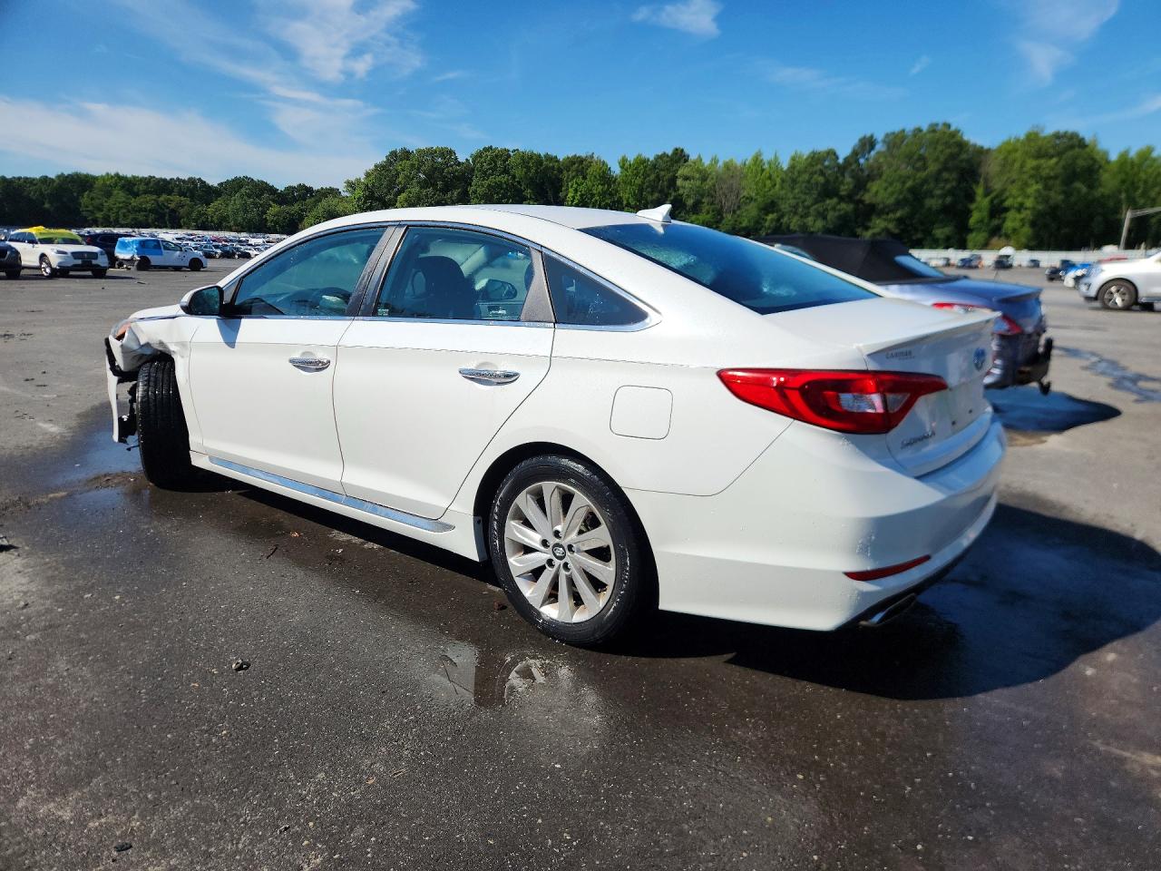 2015 Hyundai Sonata Sport White vin: 5NPE34AF8FH124441