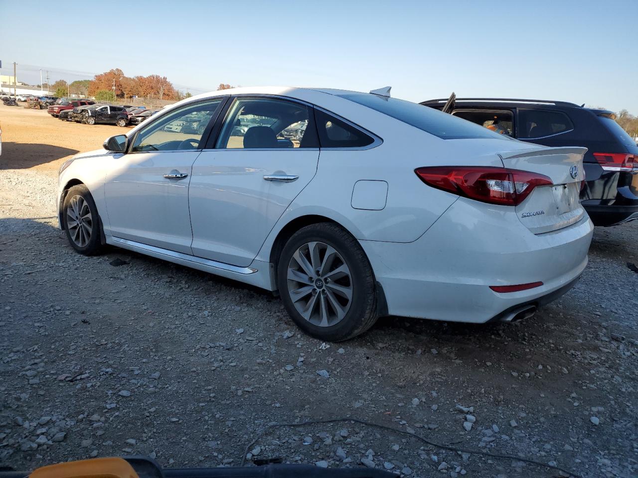 2016 Hyundai Sonata Sport Sport White vin: 5NPE34AF8GH424109