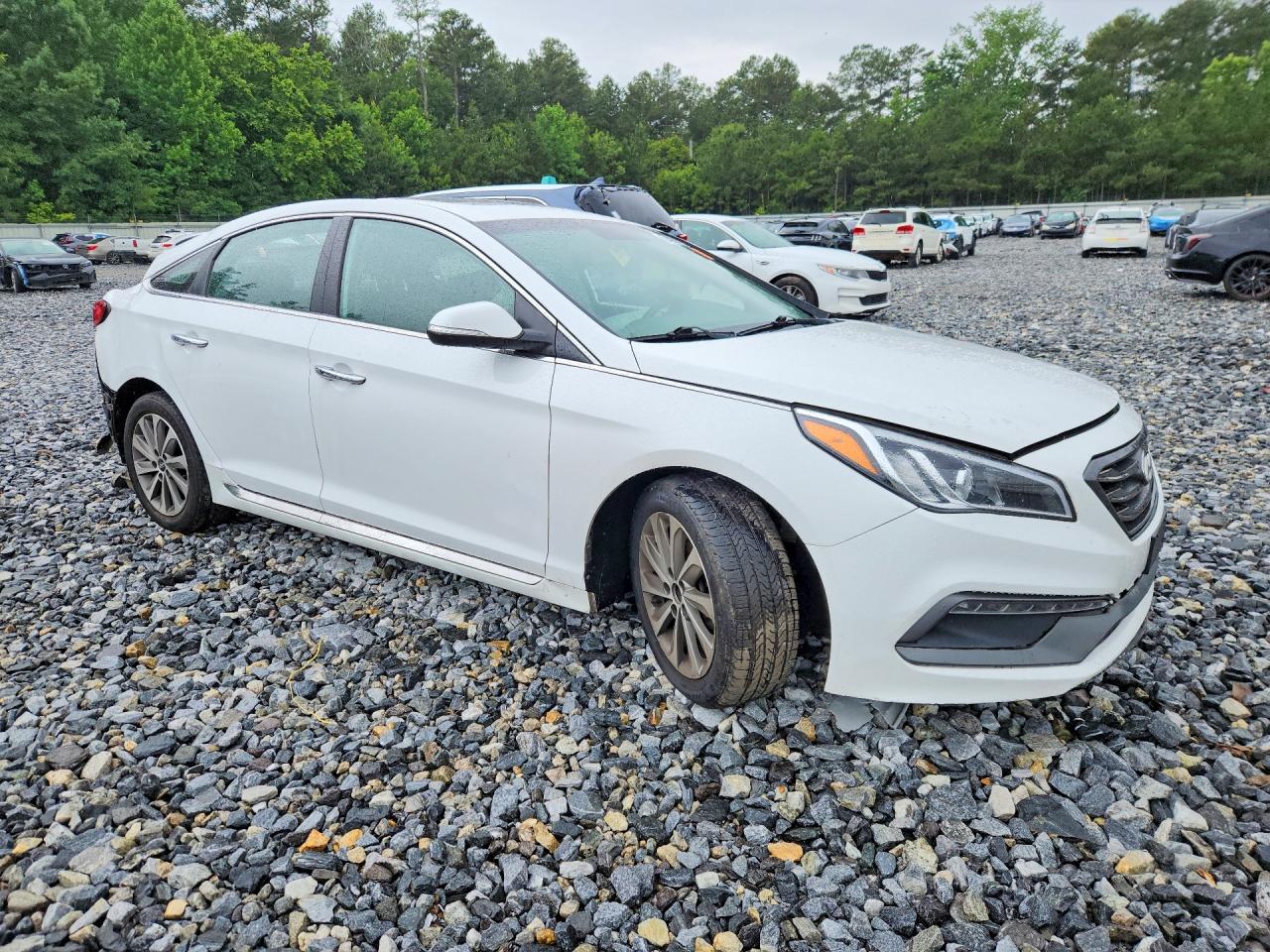 2017 Hyundai Sonata Sport White vin: 5NPE34AF9HH485180