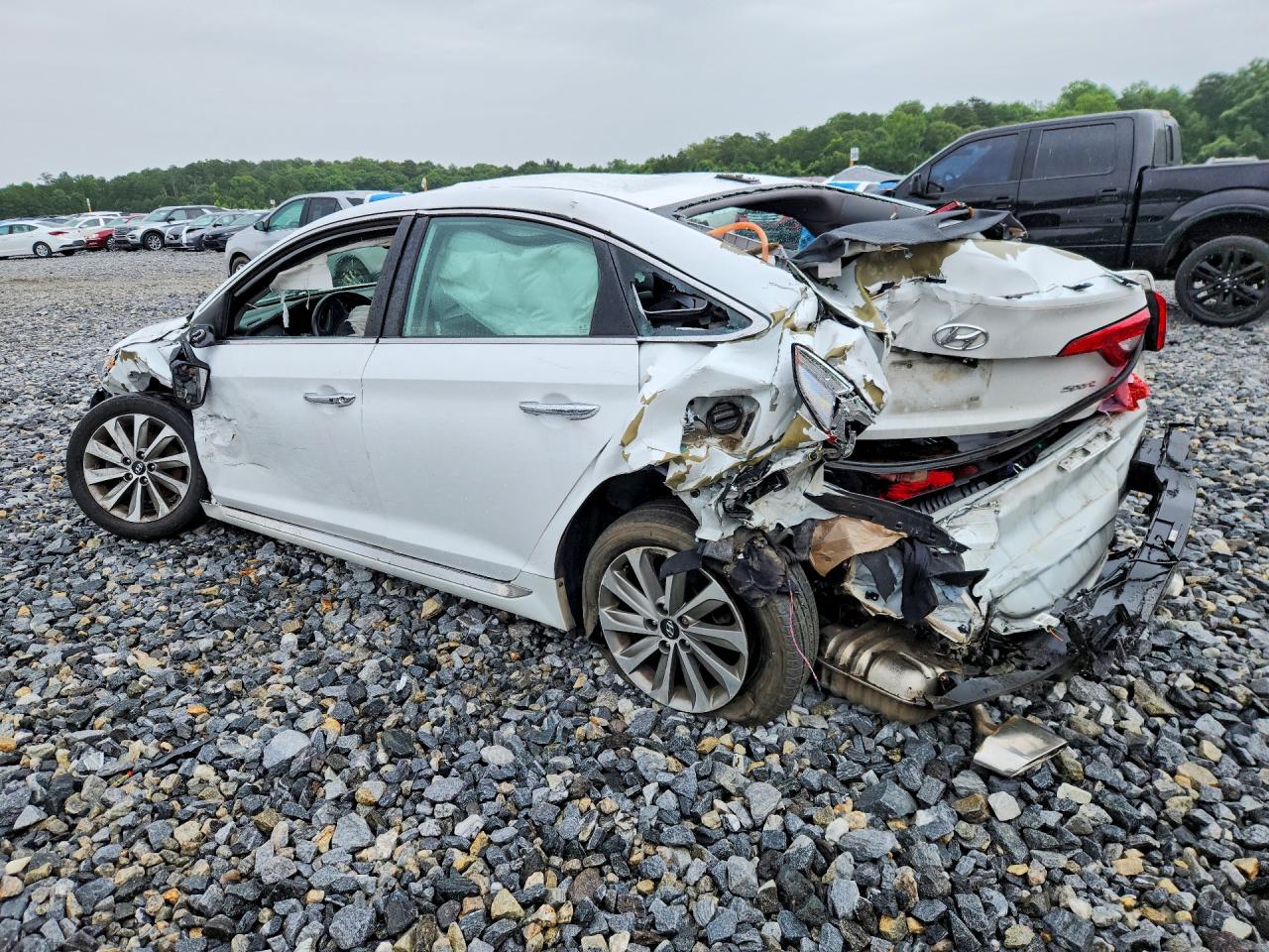 2017 Hyundai Sonata Sport White vin: 5NPE34AF9HH485180